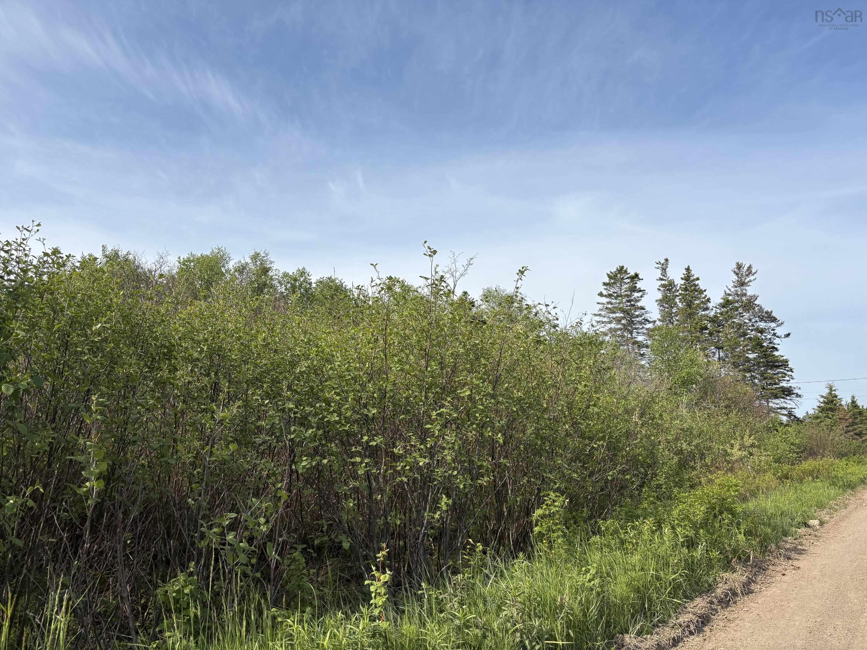 $99,900.00: Lot 2 Shore Road, Ogilvie