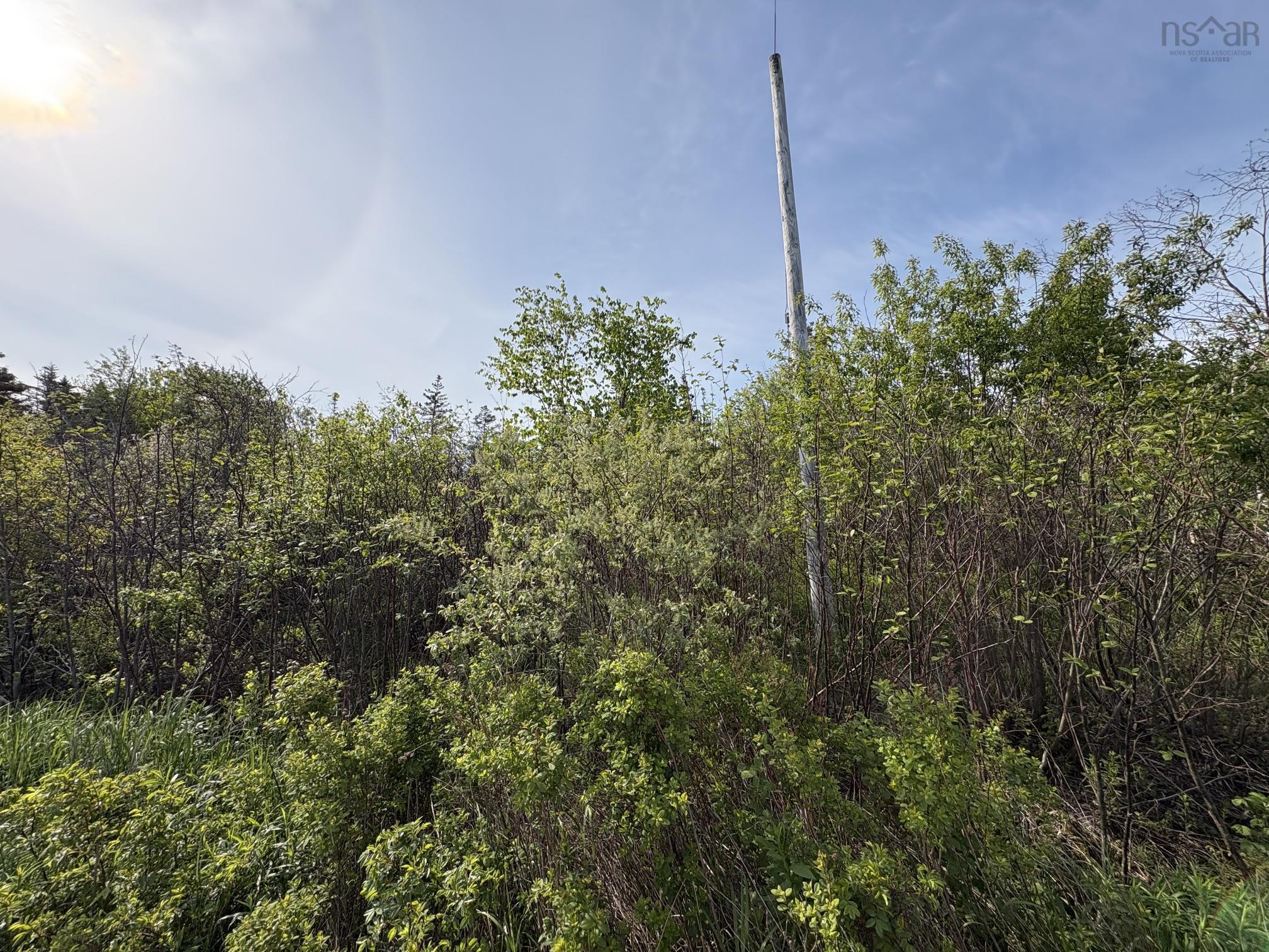 $99,900.00: Lot 2 Shore Road, Ogilvie