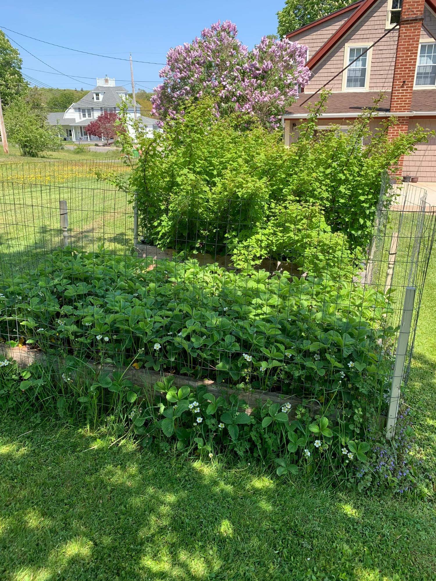 $299,900.00: 55 Lighthouse Road, Digby