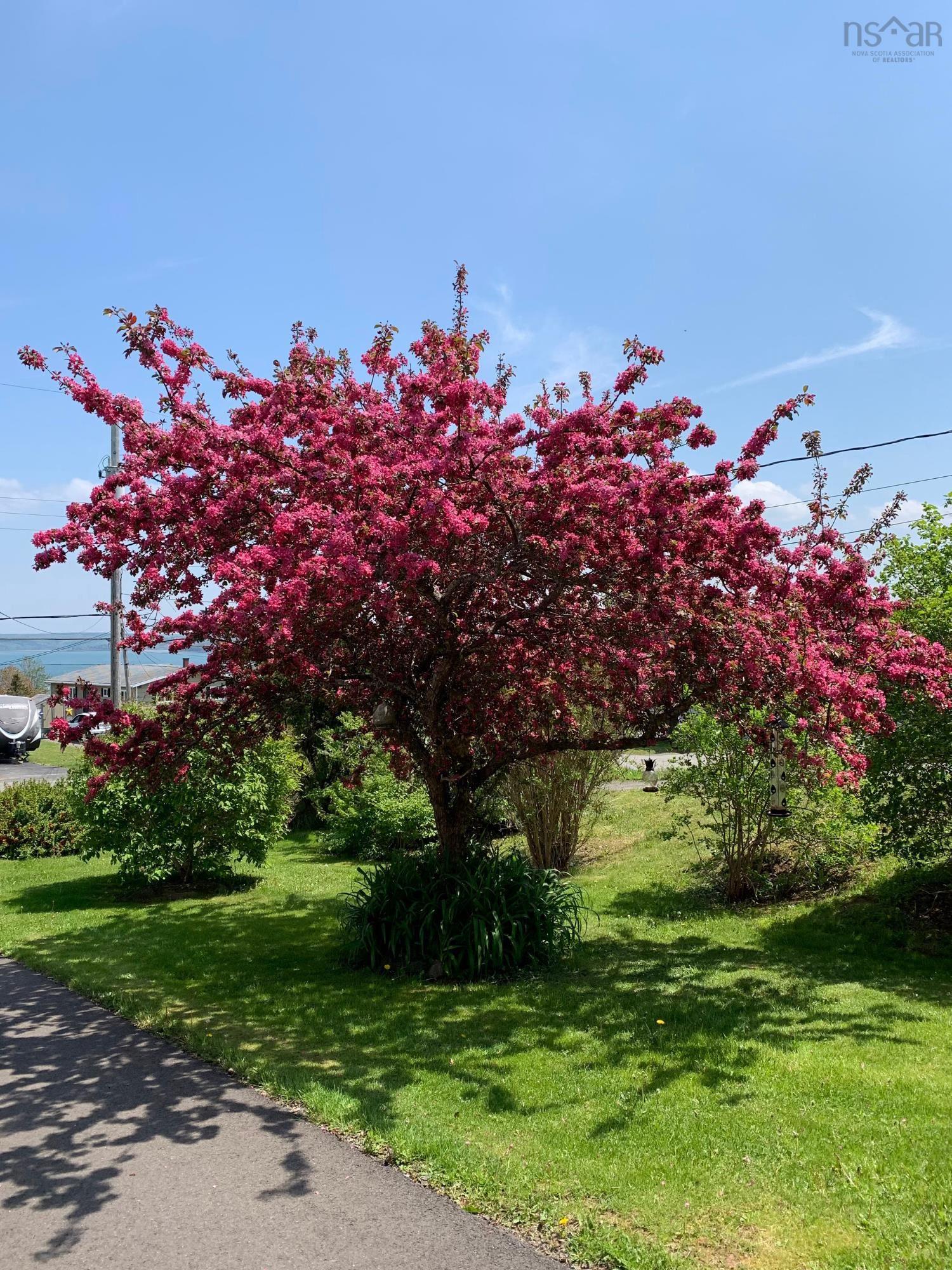 $299,900.00: 55 Lighthouse Road, Digby