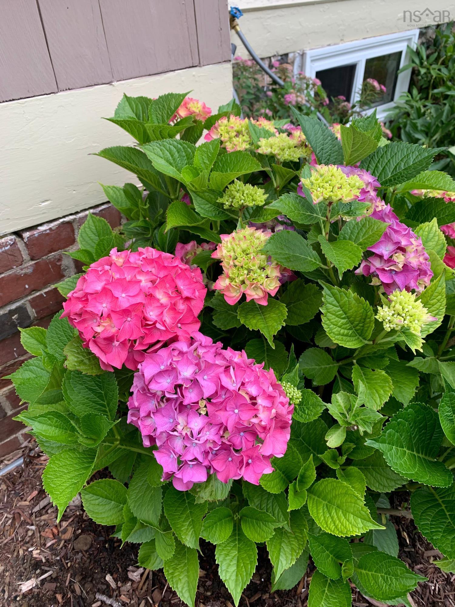 $299,900.00: 55 Lighthouse Road, Digby