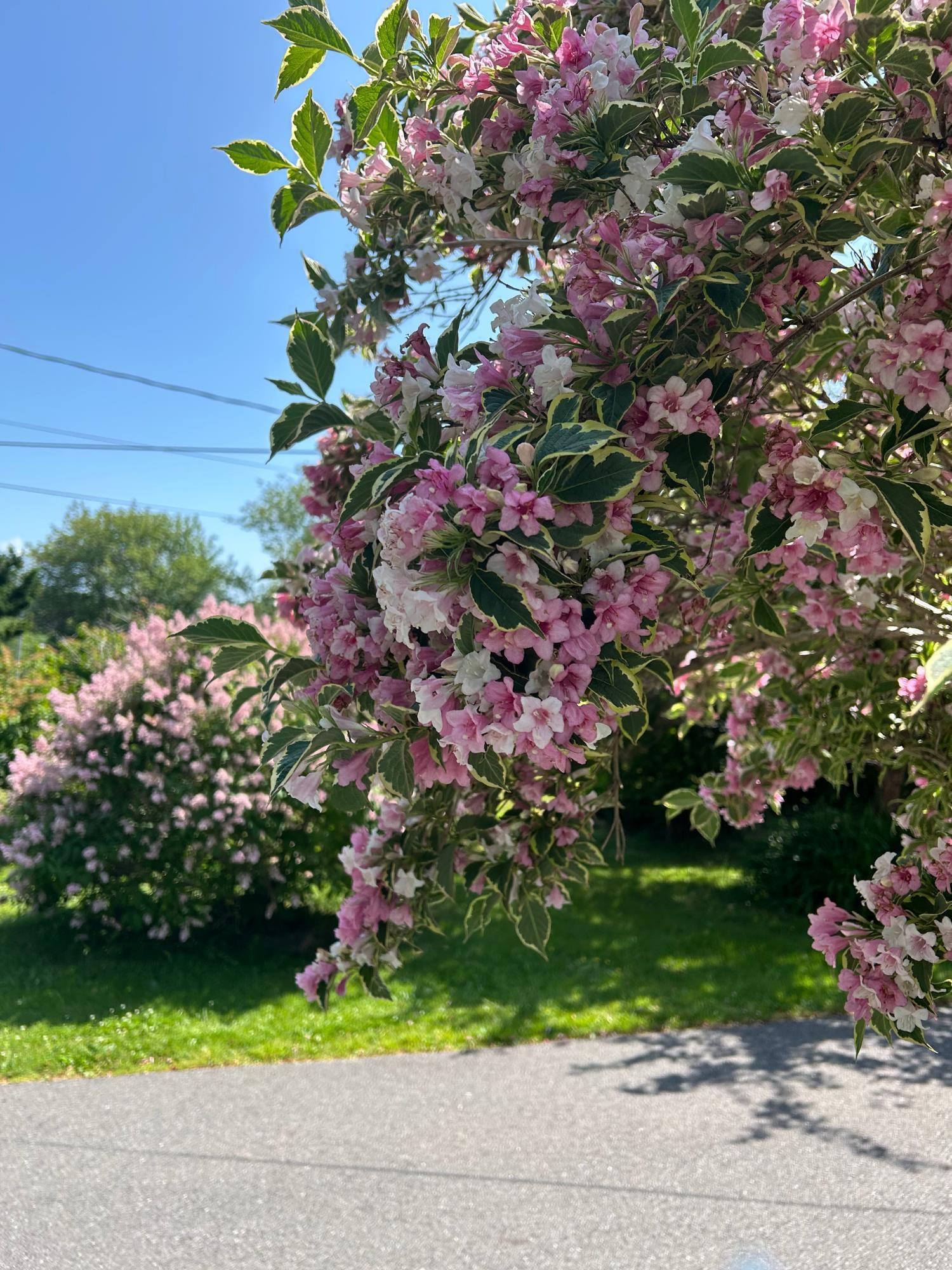 $299,900.00: 55 Lighthouse Road, Digby