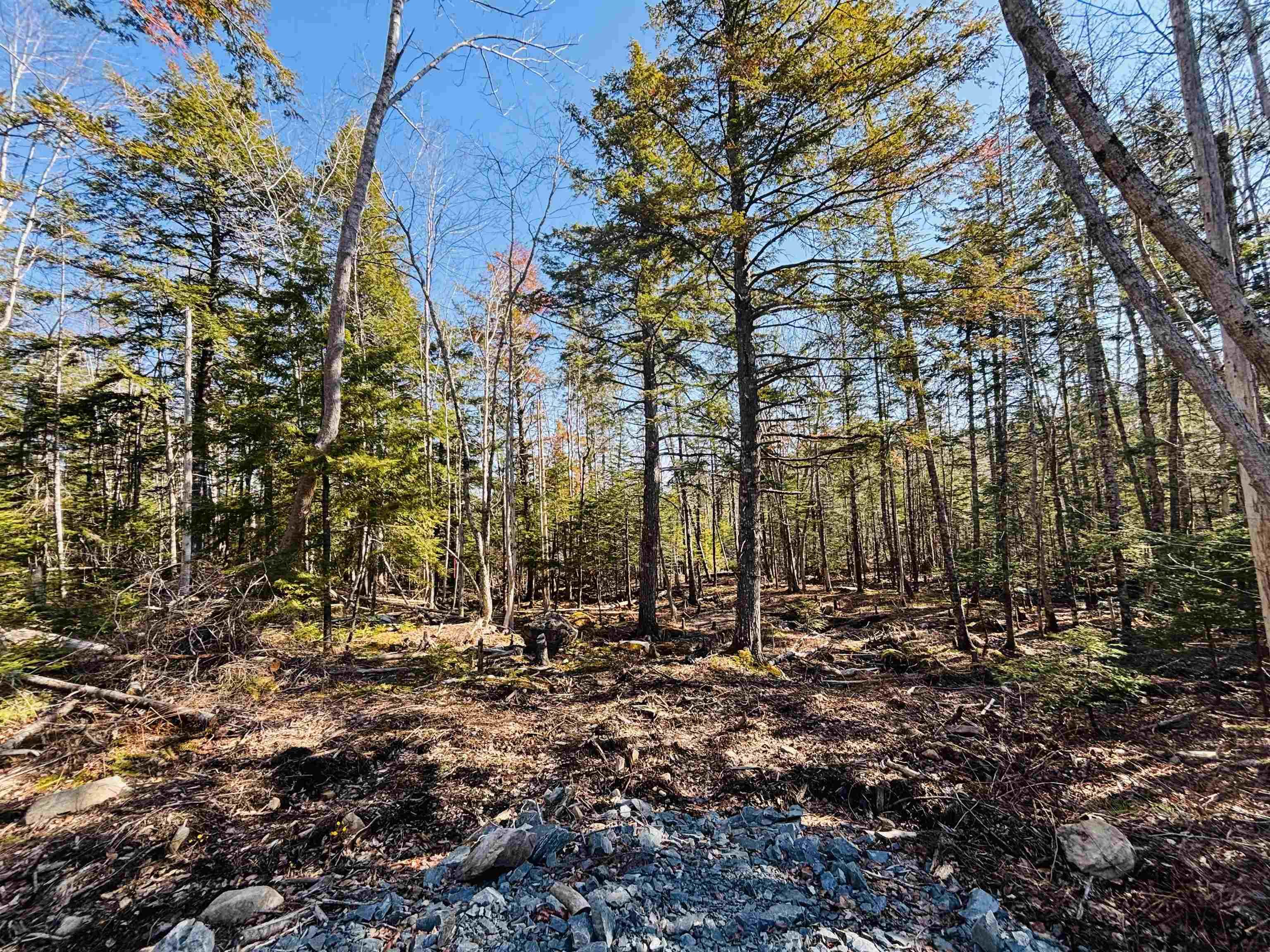$154,900.00: Lot 2 Oldham Road, Enfield