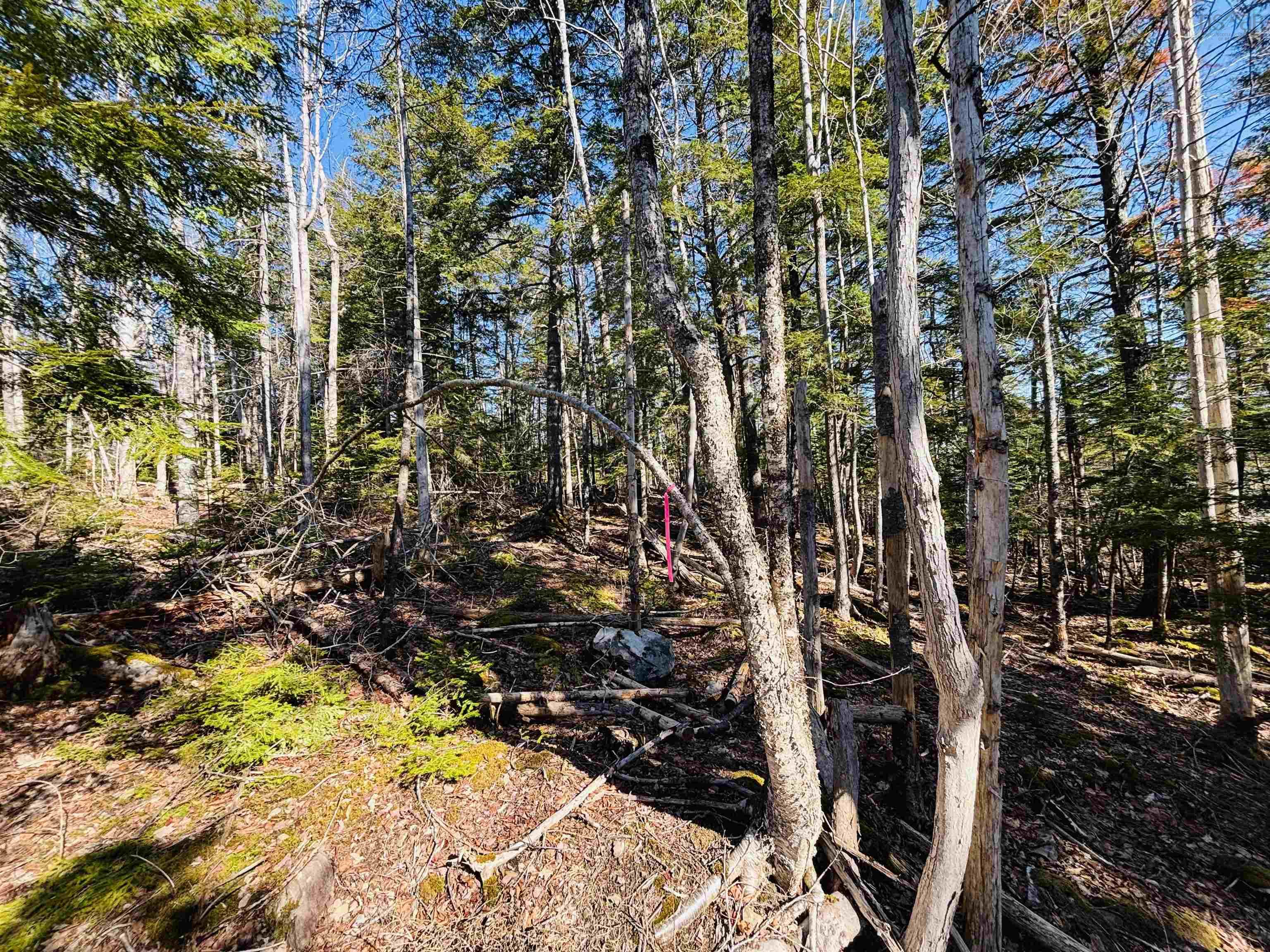 $154,900.00: Lot 2 Oldham Road, Enfield