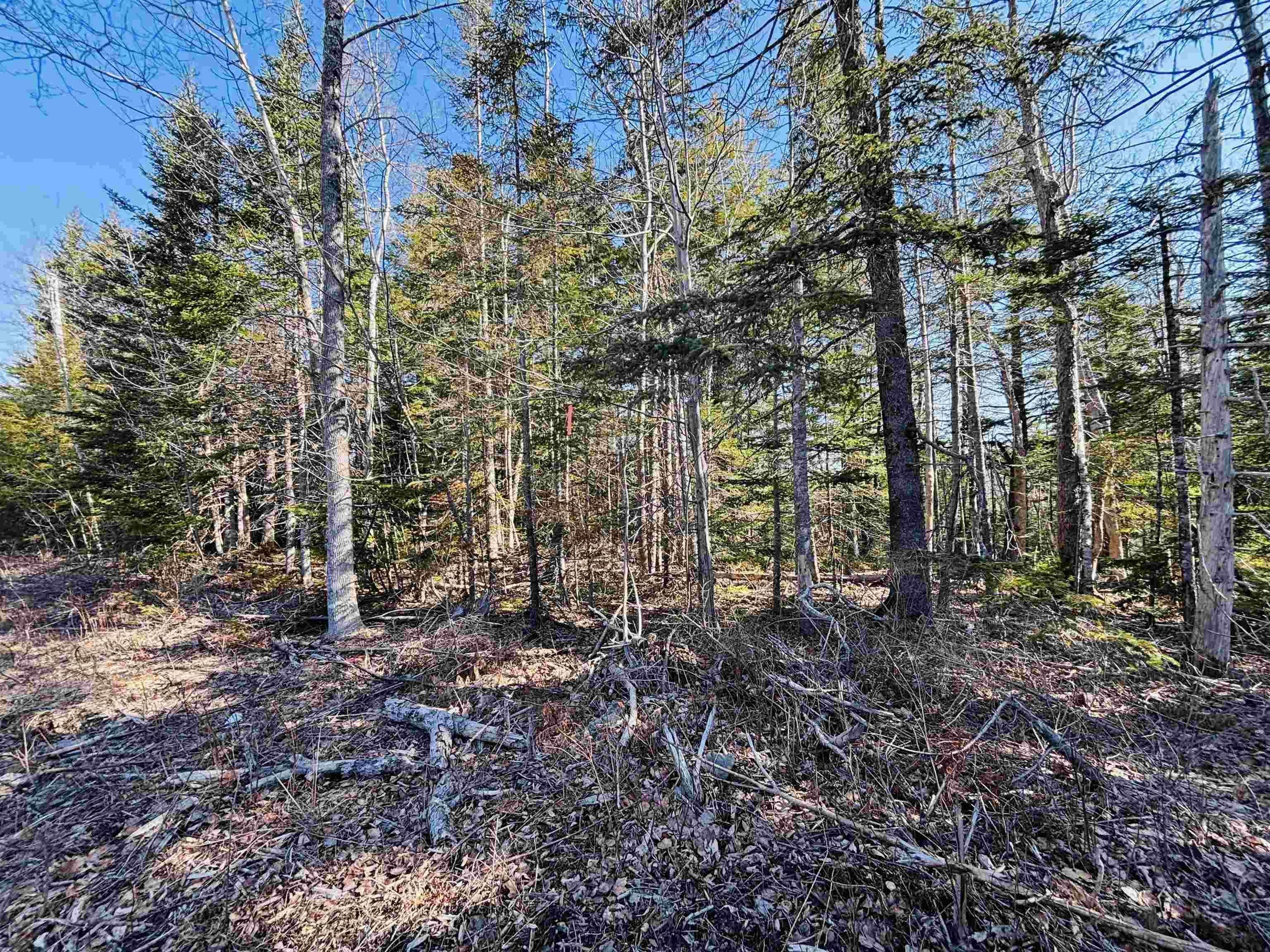 $154,900.00: Lot 1 Oldham Road, Enfield