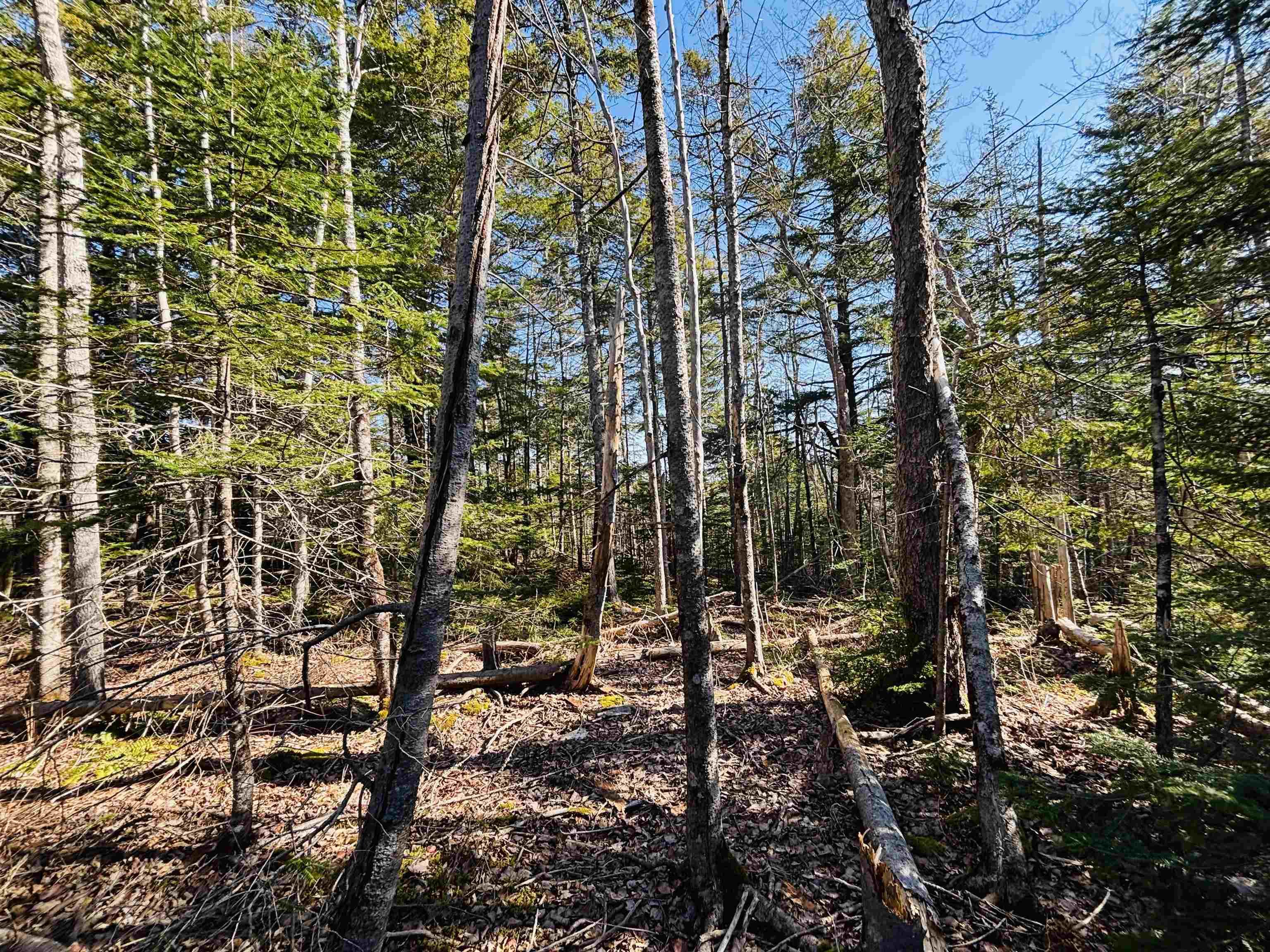 $154,900.00: Lot 1 Oldham Road, Enfield