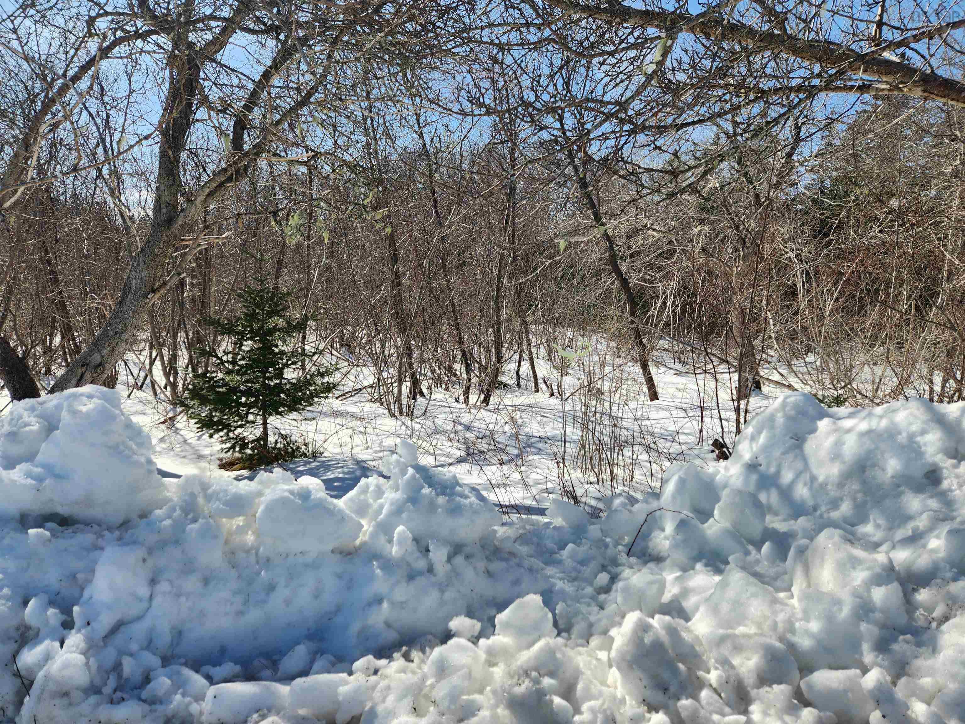 $54,900.00: Lot White Point 1 Road, White Point