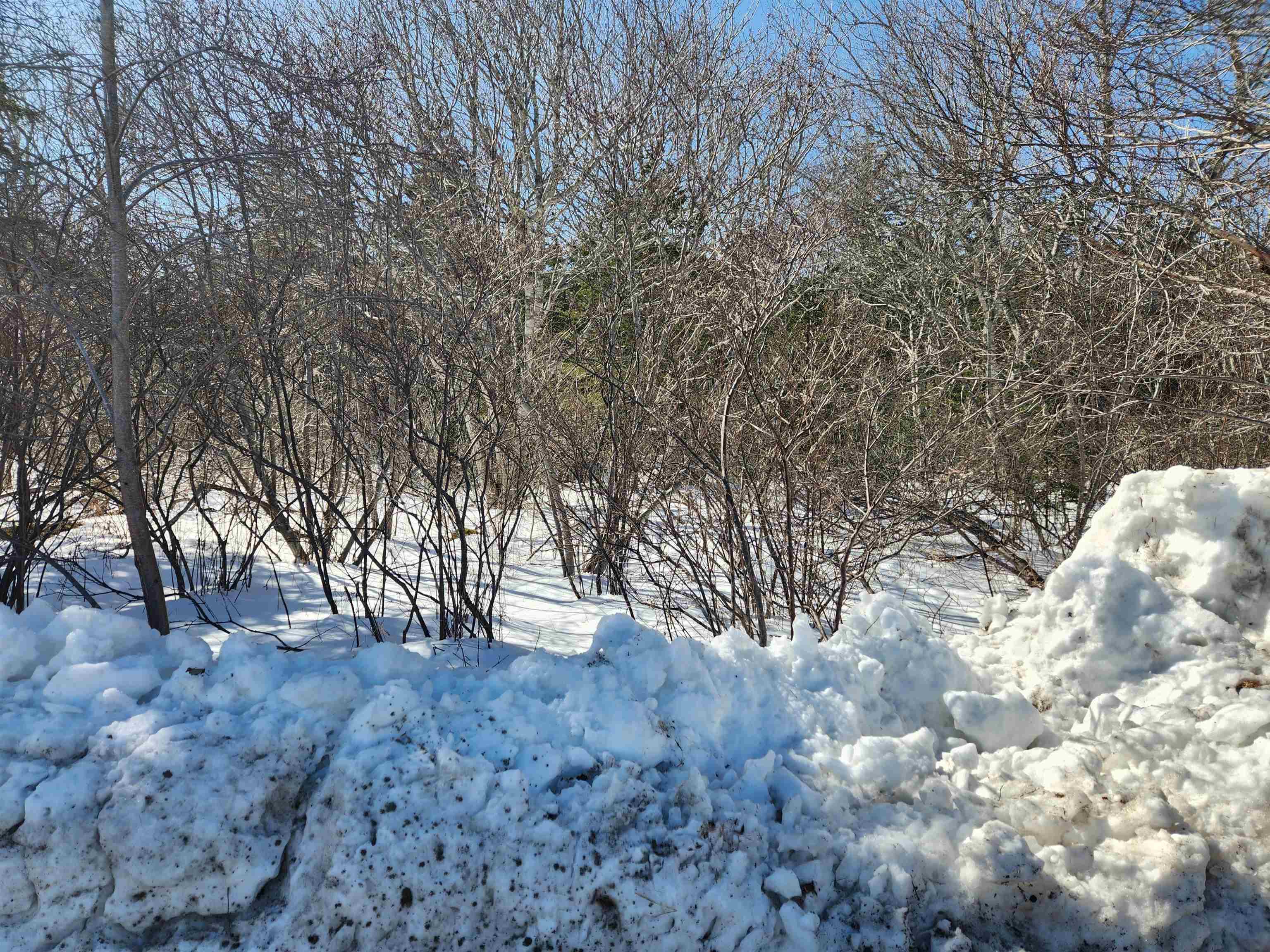 $56,900.00: Lot White Point 1 Road, White Point