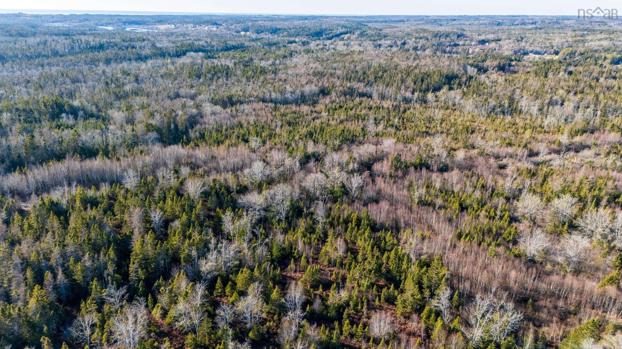 $399,000.00: Lot 1 Porter Road, Mayflower