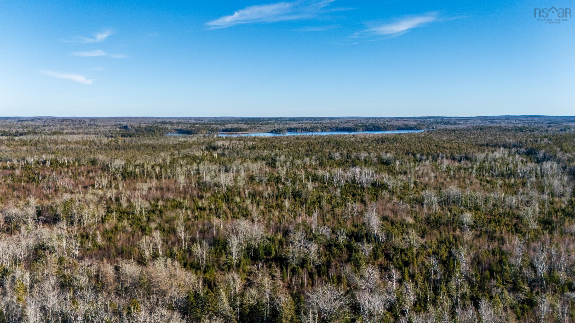 $399,000.00: Lot 1 Porter Road, Mayflower