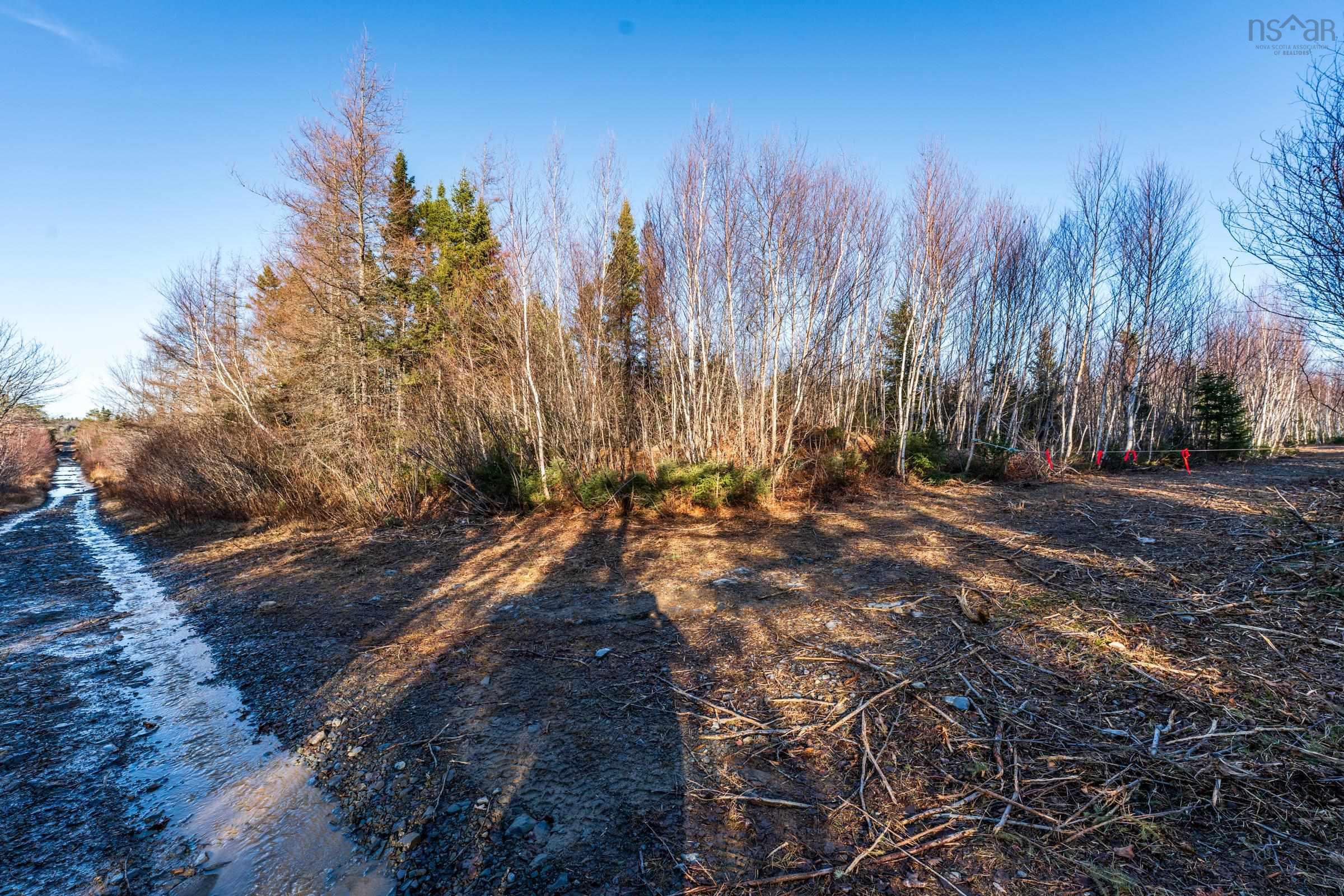 $399,000.00: Lot 1 Porter Road, Mayflower