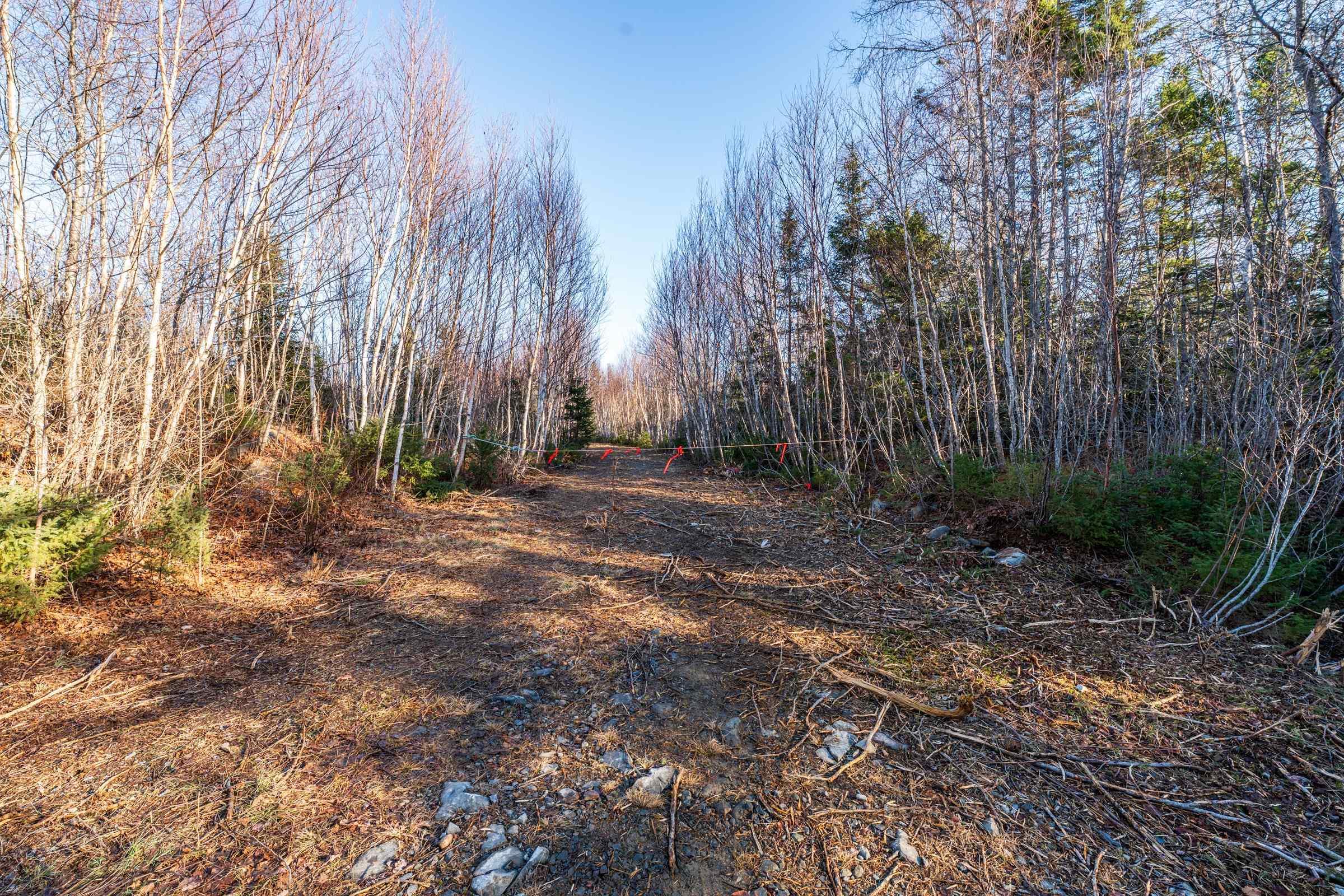 $399,000.00: Lot 1 Porter Road, Mayflower