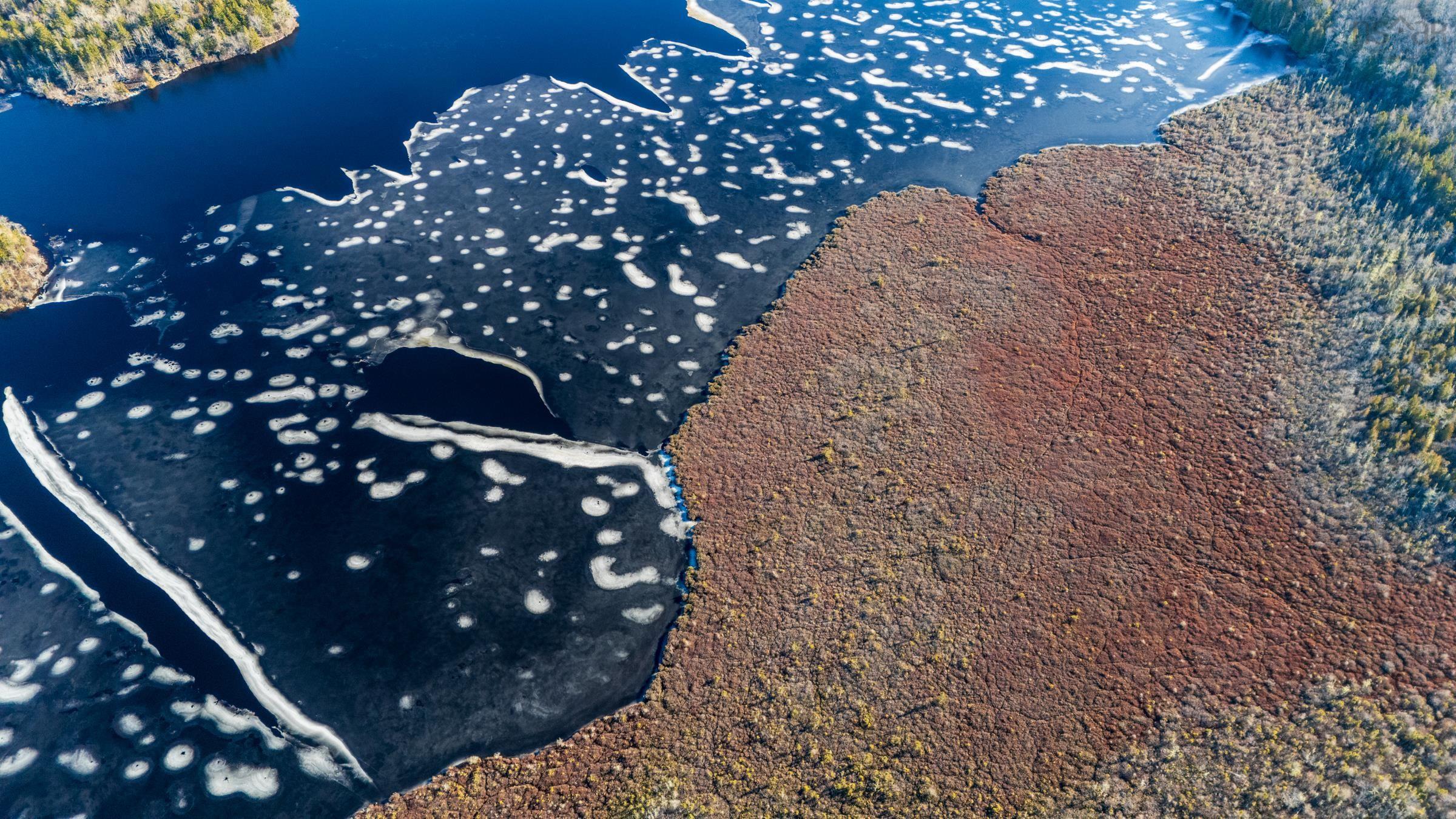 $399,000.00: Lot 1 Porter Road, Mayflower