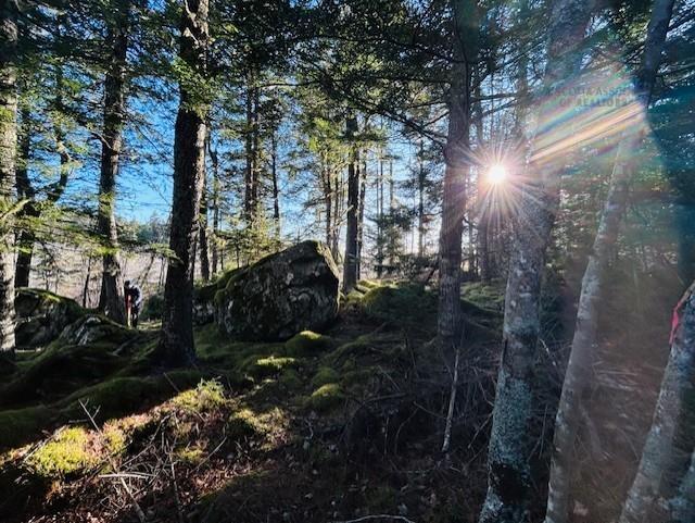 $499,500.00: 351 Narrows Road, Labelle