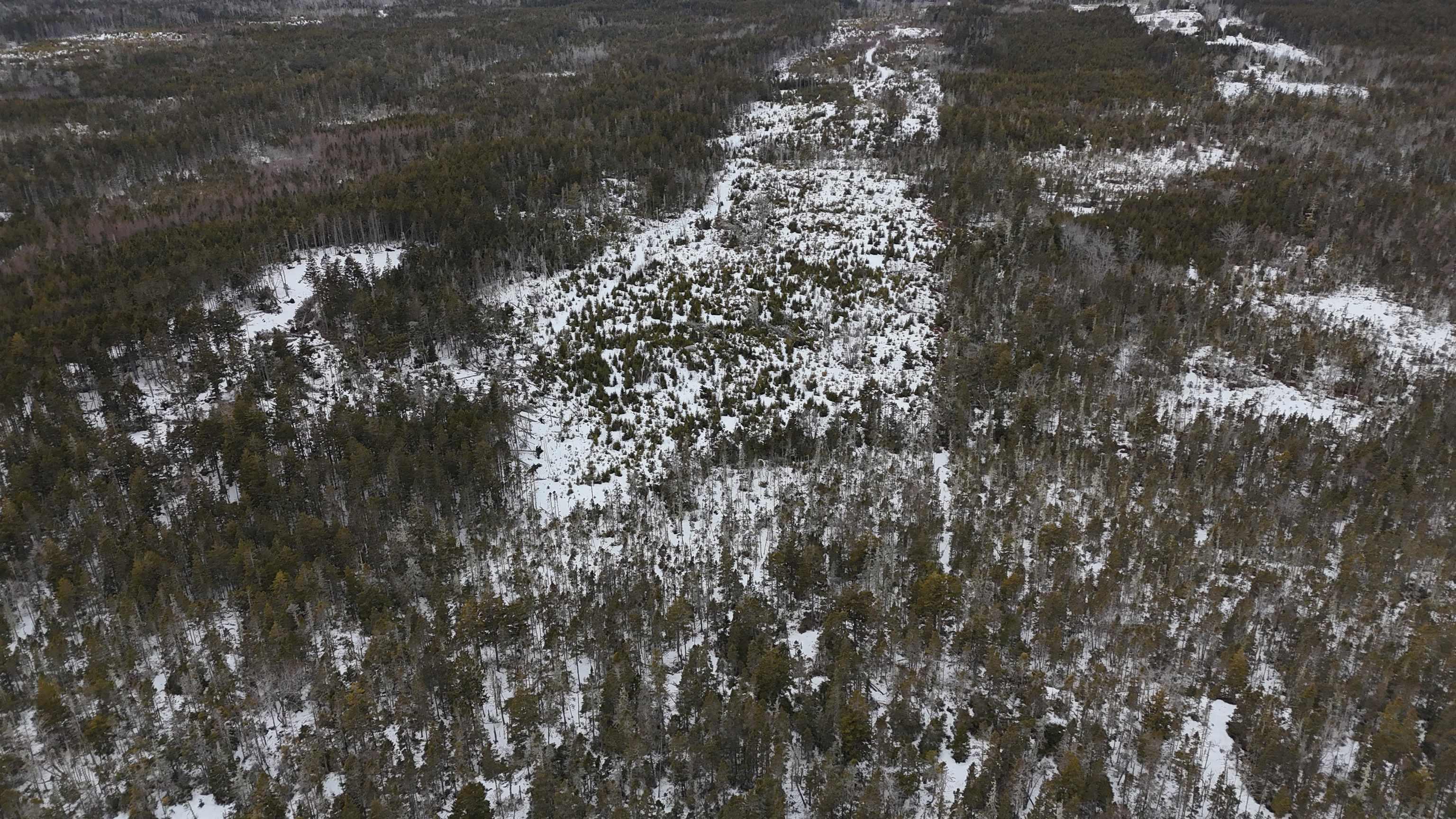 $249,000.00: Lots Highway 331, Cherry Hill