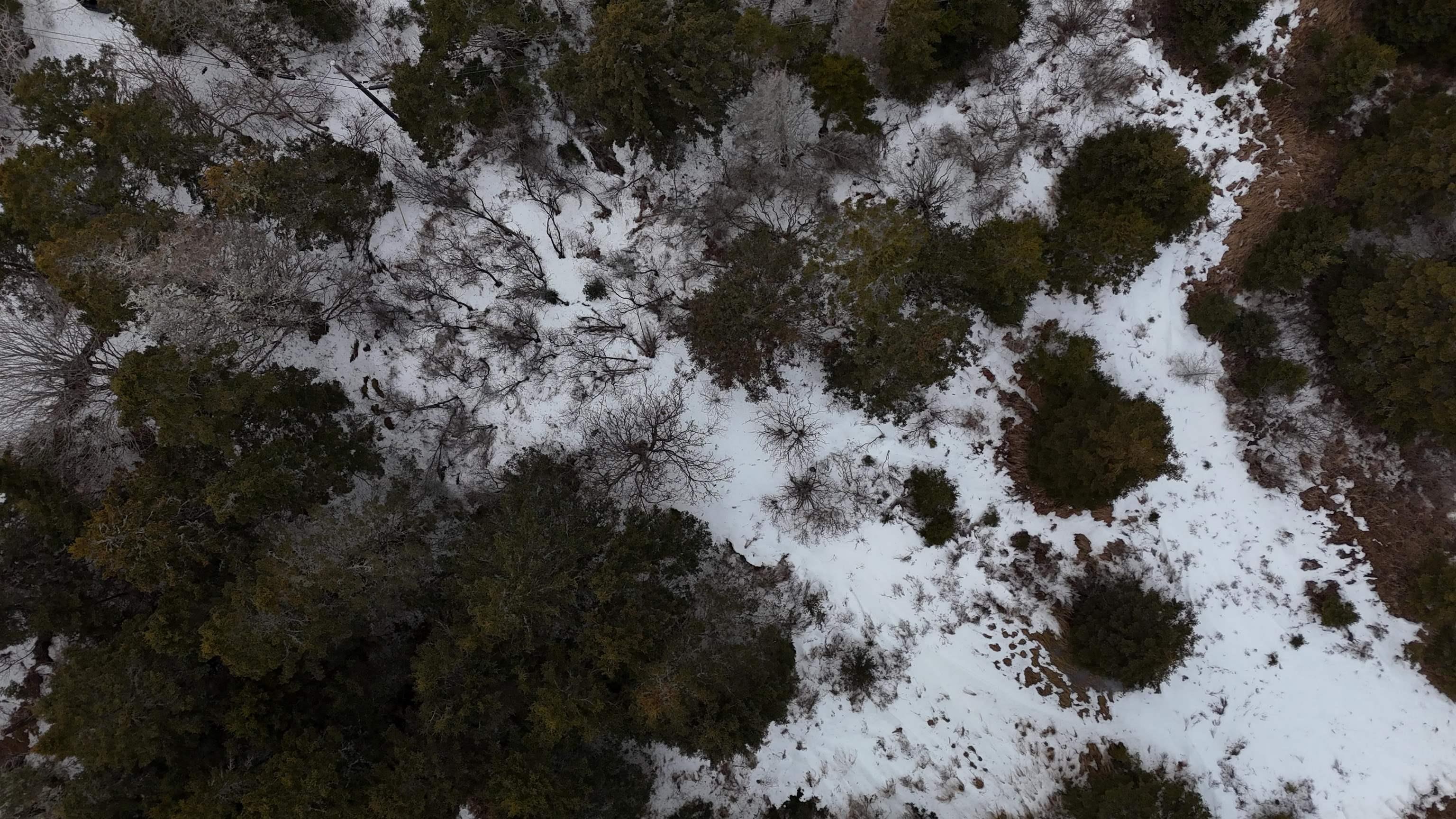 $249,000.00: Lots Highway 331, Cherry Hill