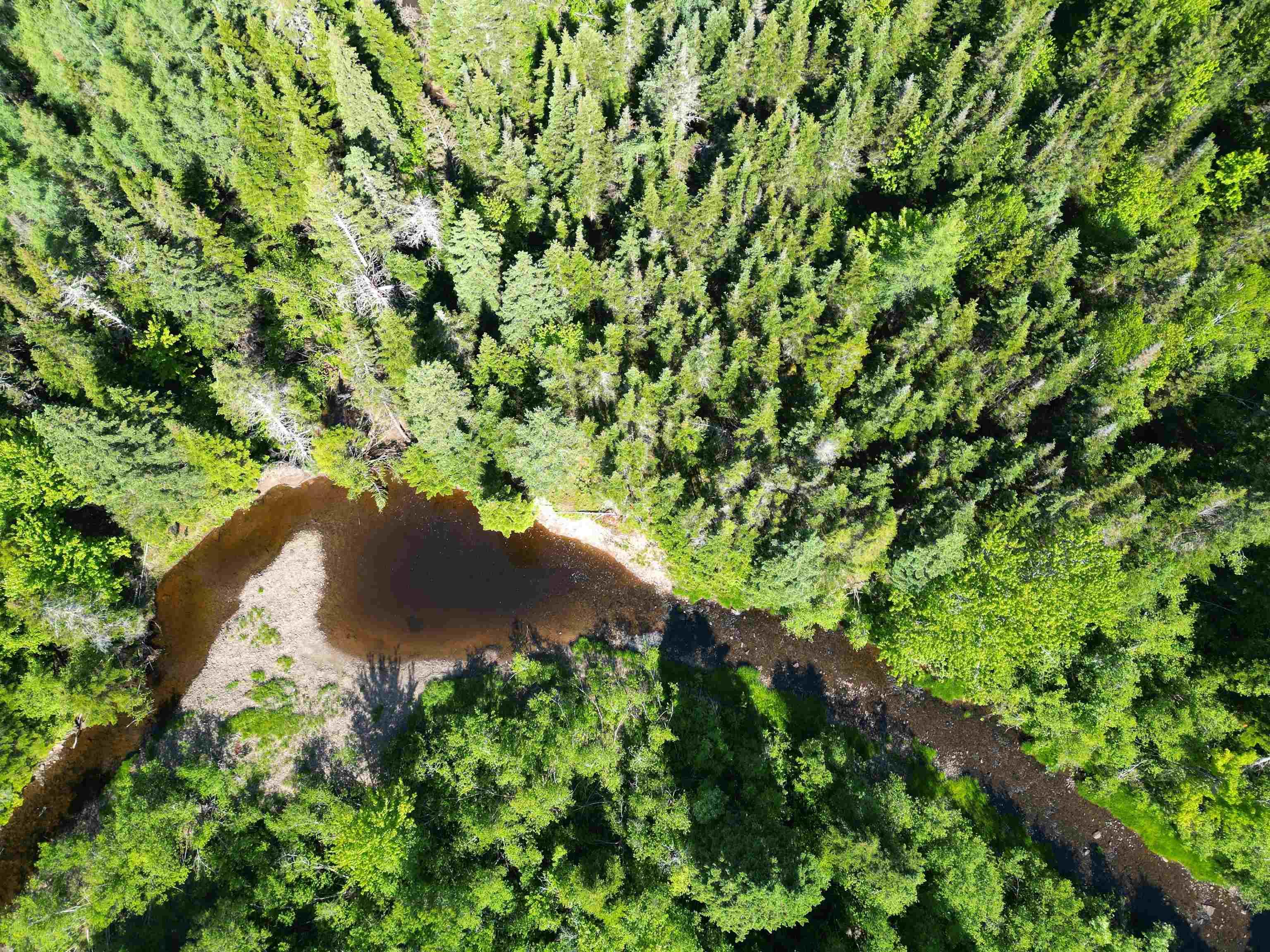 $139,000.00: Acerage Seaview Rd, Seaview