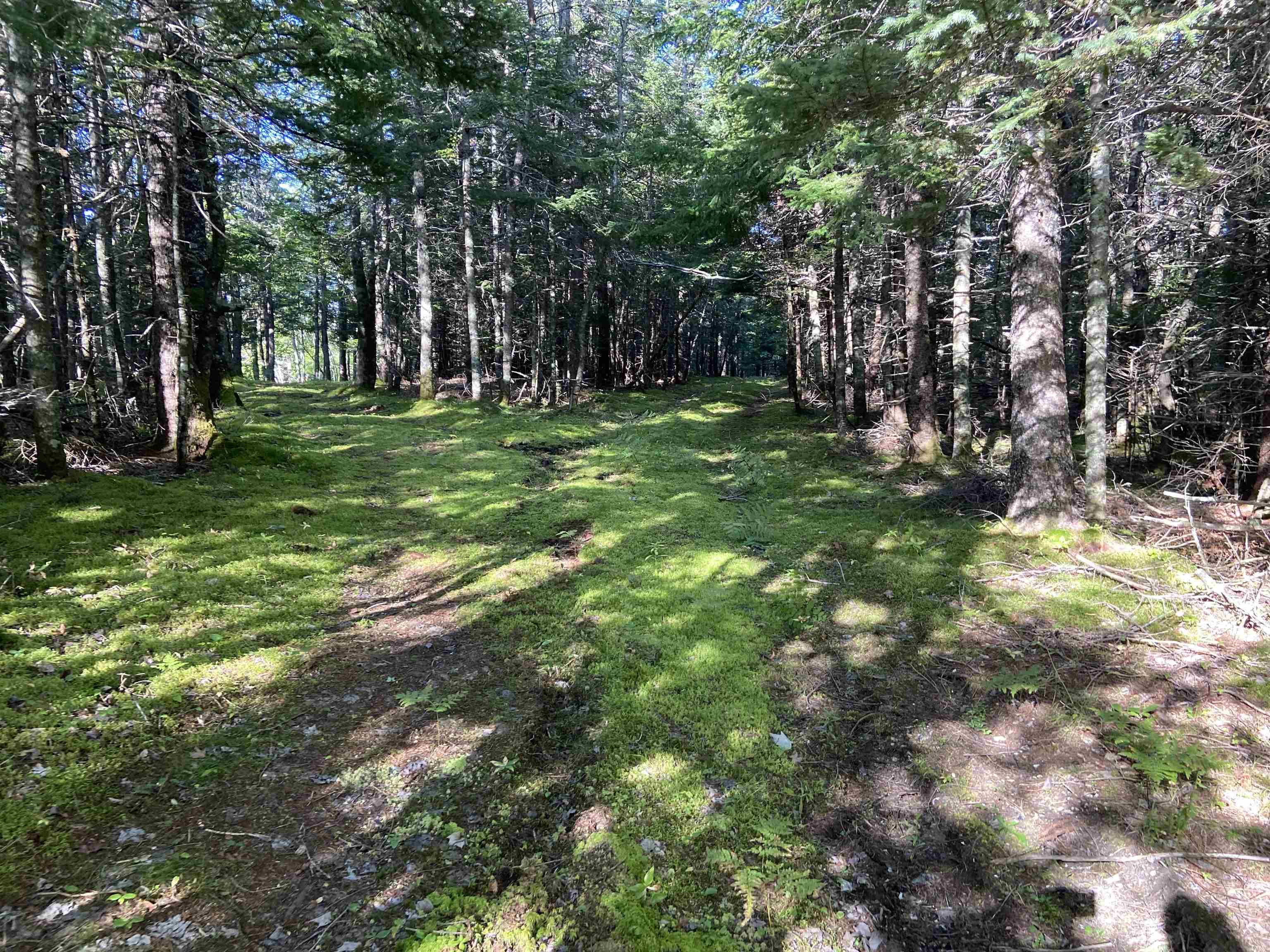 $139,000.00: Acerage Seaview Rd, Seaview