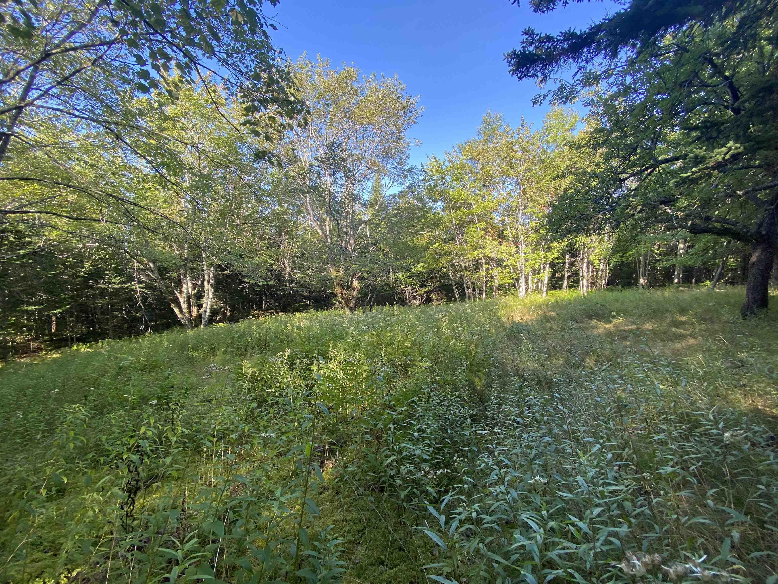 $139,000.00: Acerage Seaview Rd, Seaview