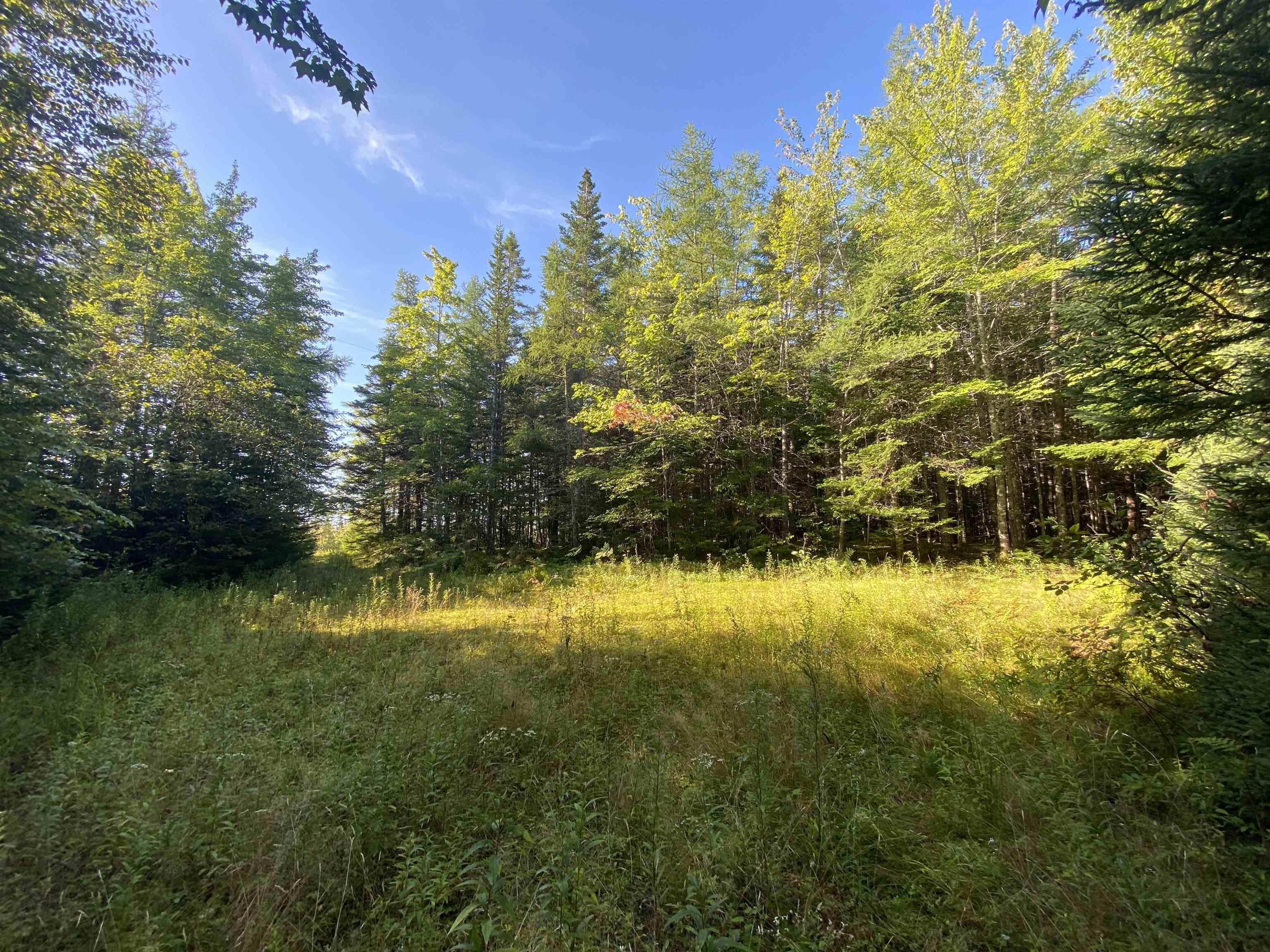 $139,000.00: Acerage Seaview Rd, Seaview