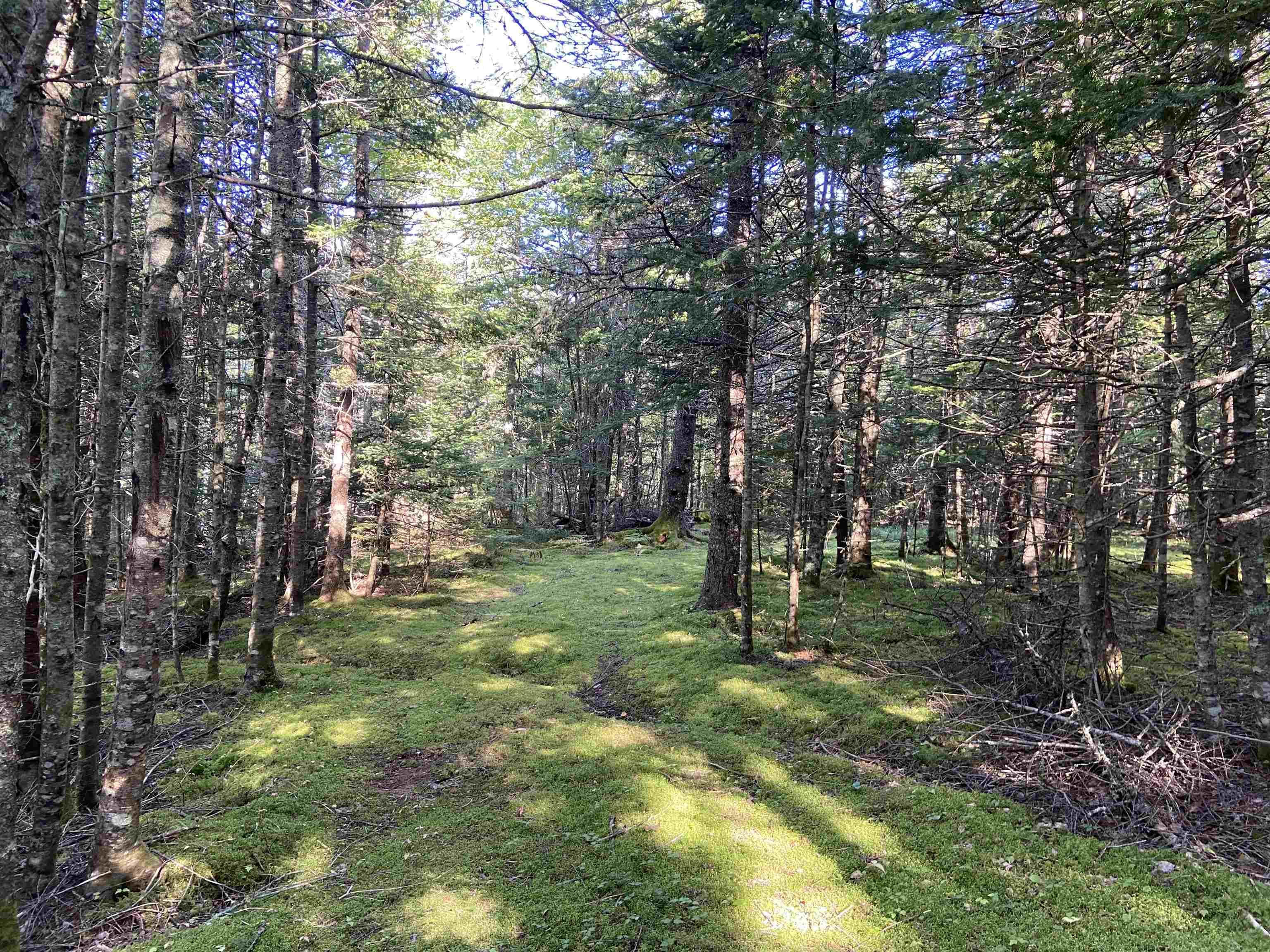 $139,000.00: Acerage Seaview Rd, Seaview