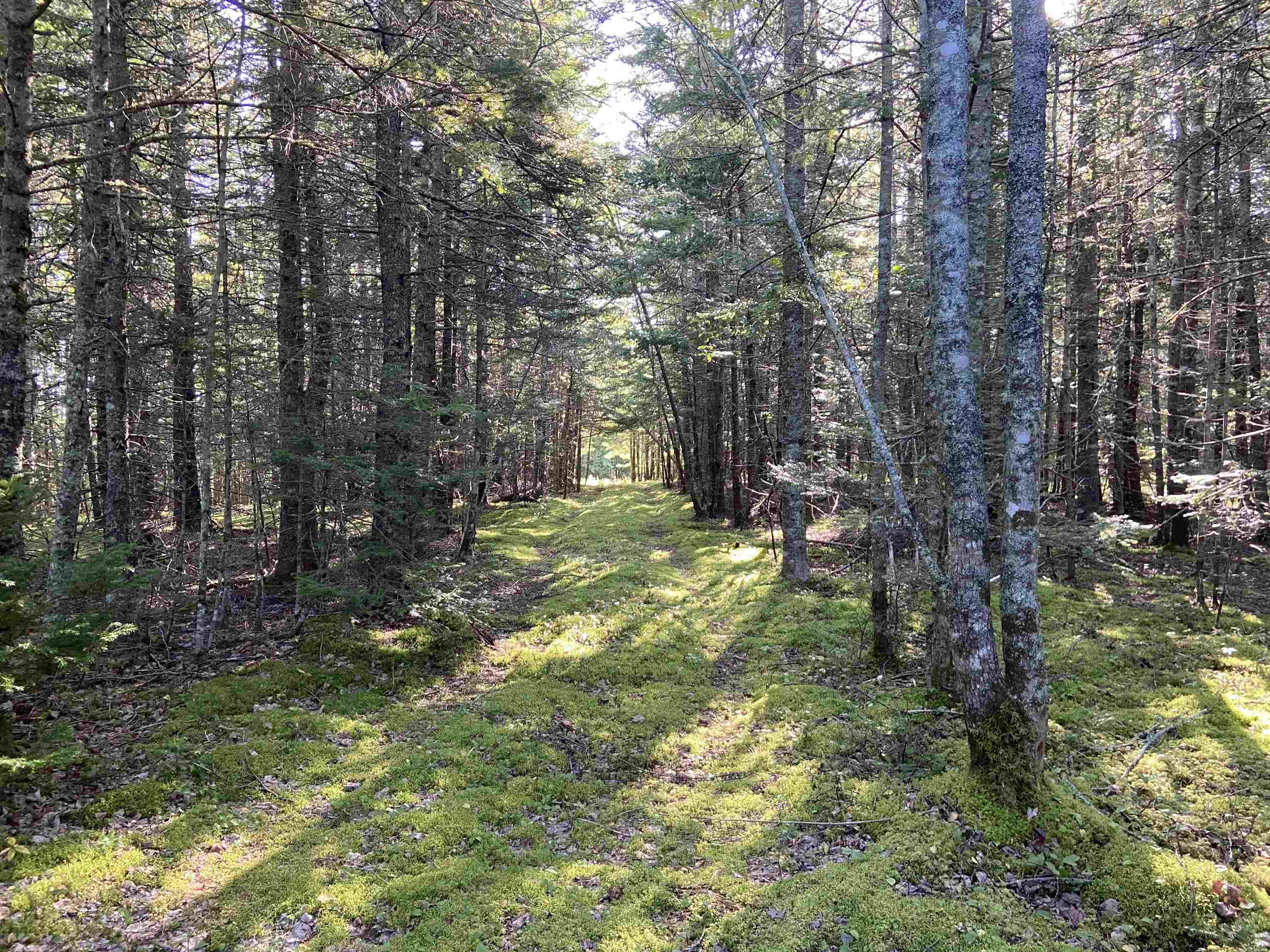 $139,000.00: Acerage Seaview Rd, Seaview