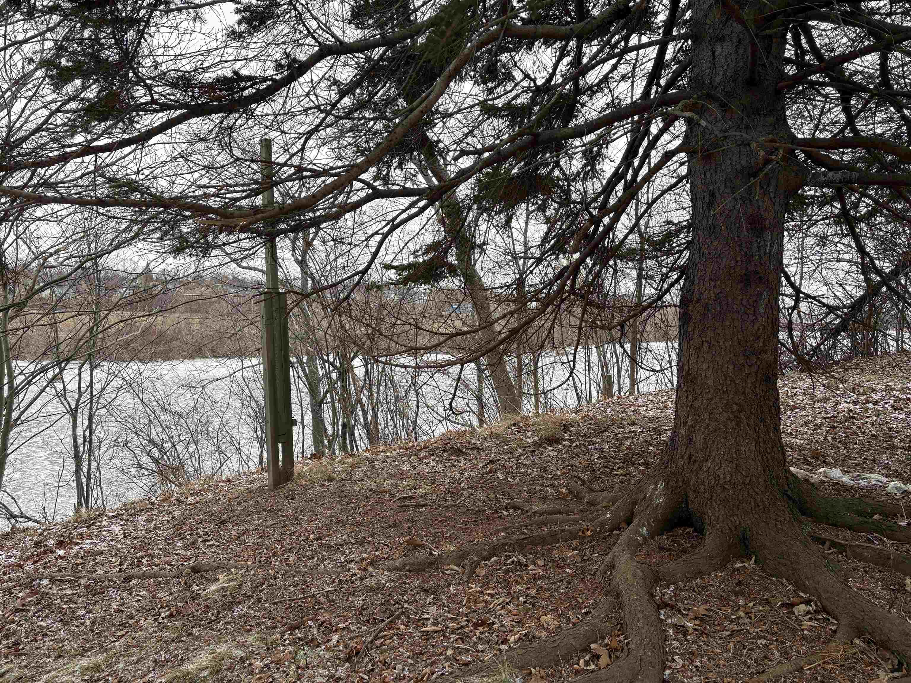 $135,000.00: 84 Warren Street, New Glasgow