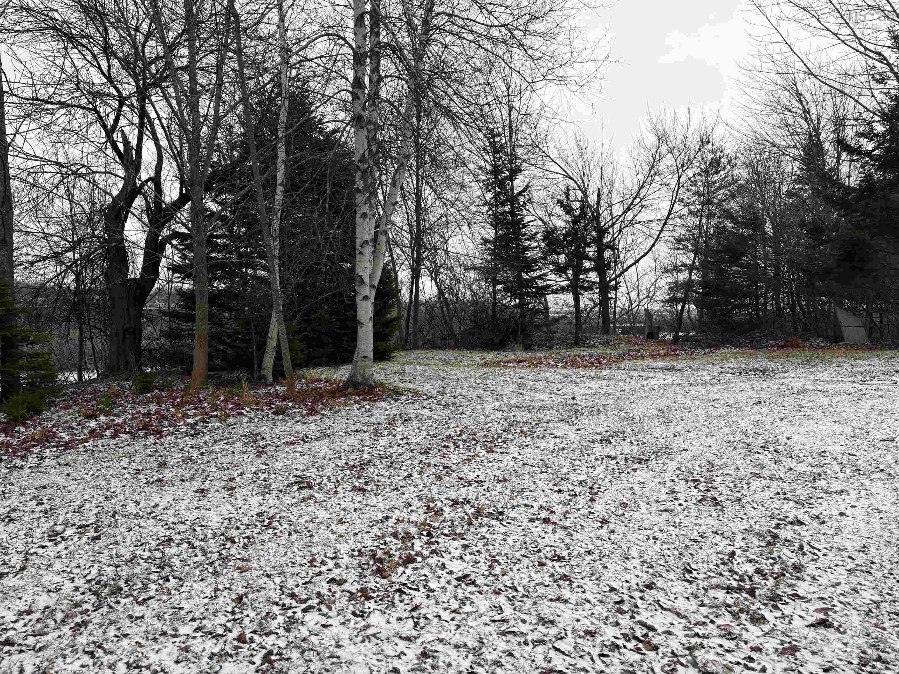 $135,000.00: 84 Warren Street, New Glasgow