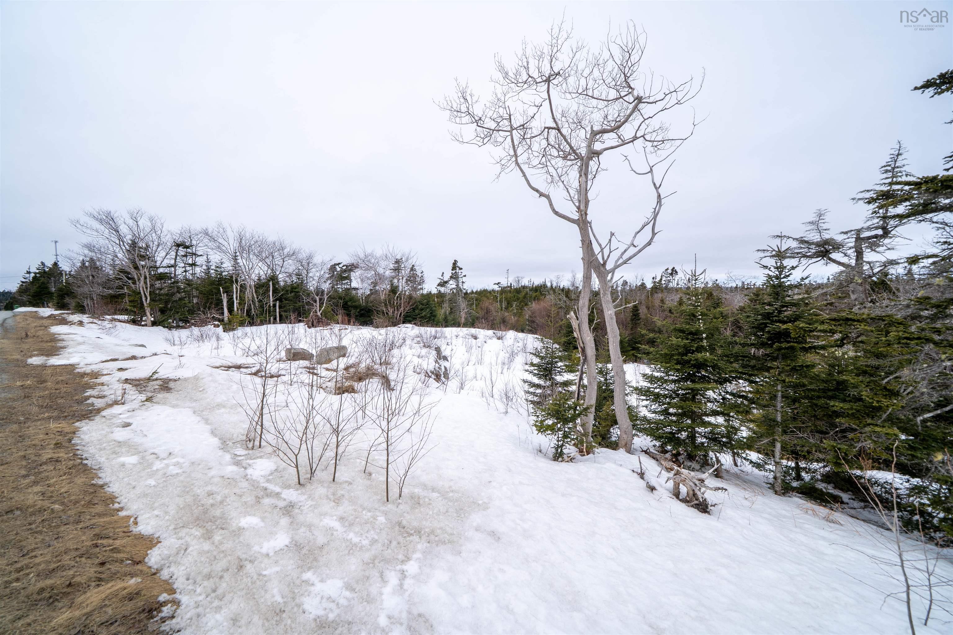 1249 Ketch Harbour Road, Ketch Harbour, NS (MLS 202603933)