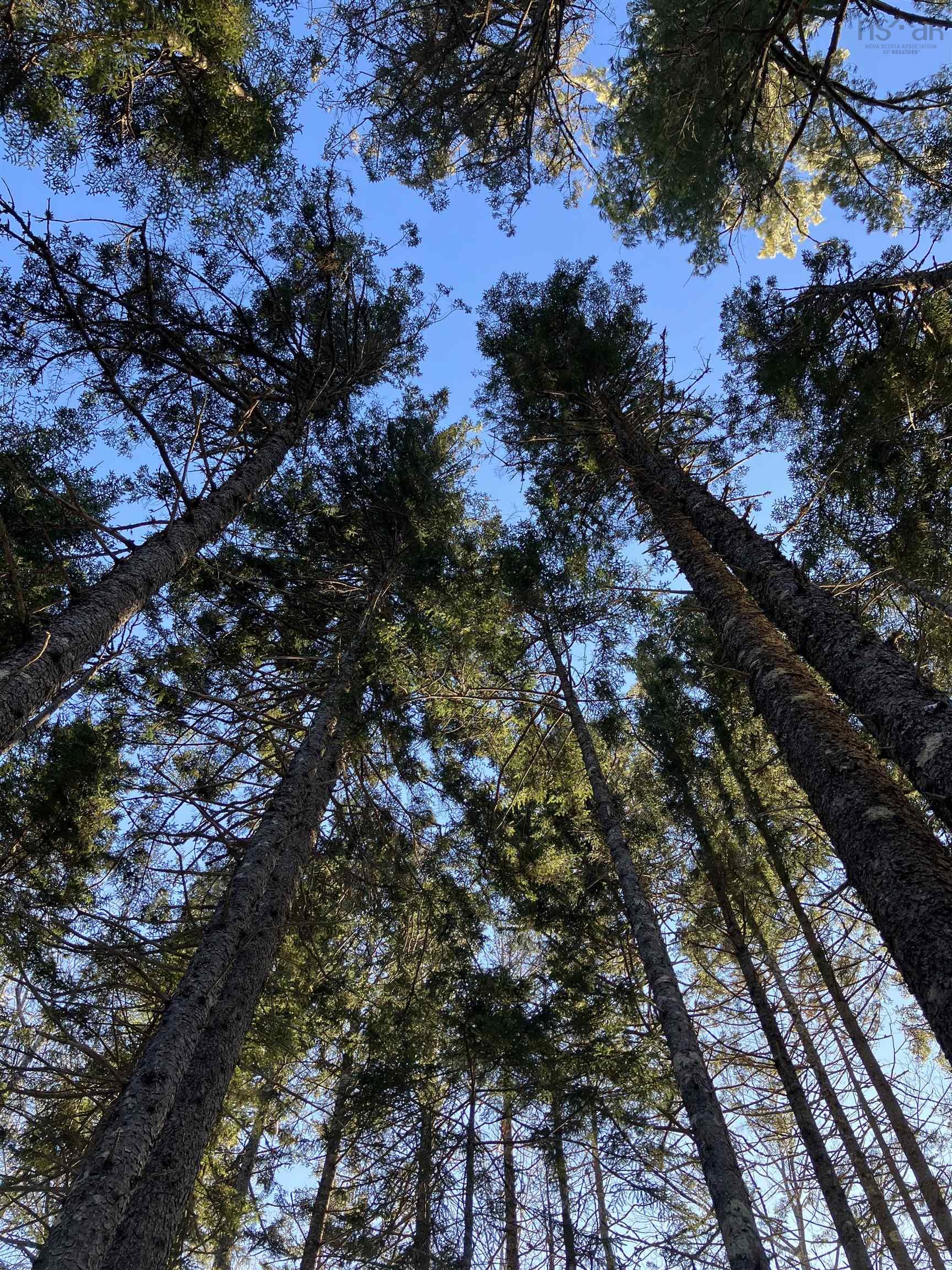 $379,000.00: 481 Conquerall Road, Conquerall Mills