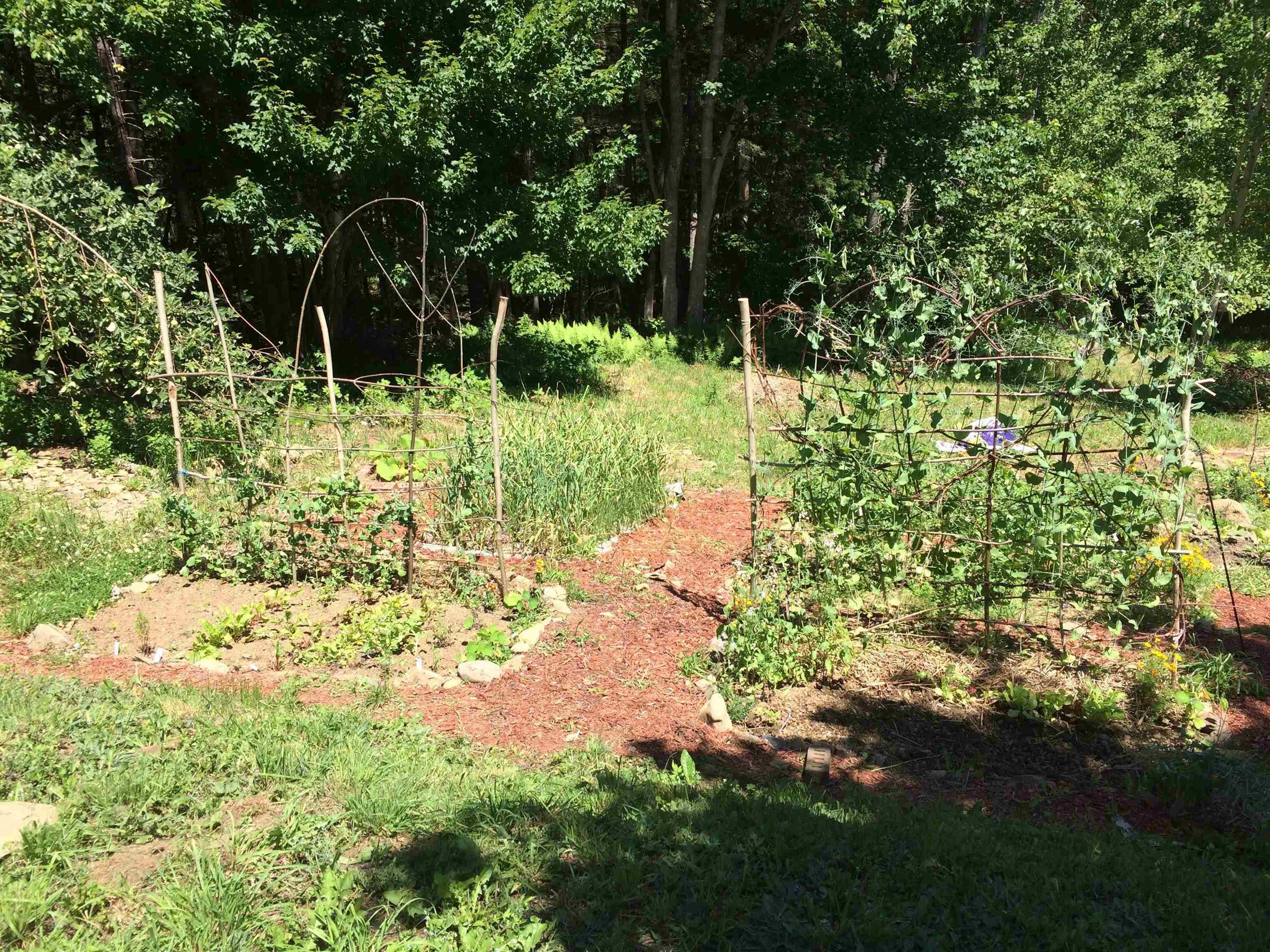 $379,000.00: 481 Conquerall Road, Conquerall Mills