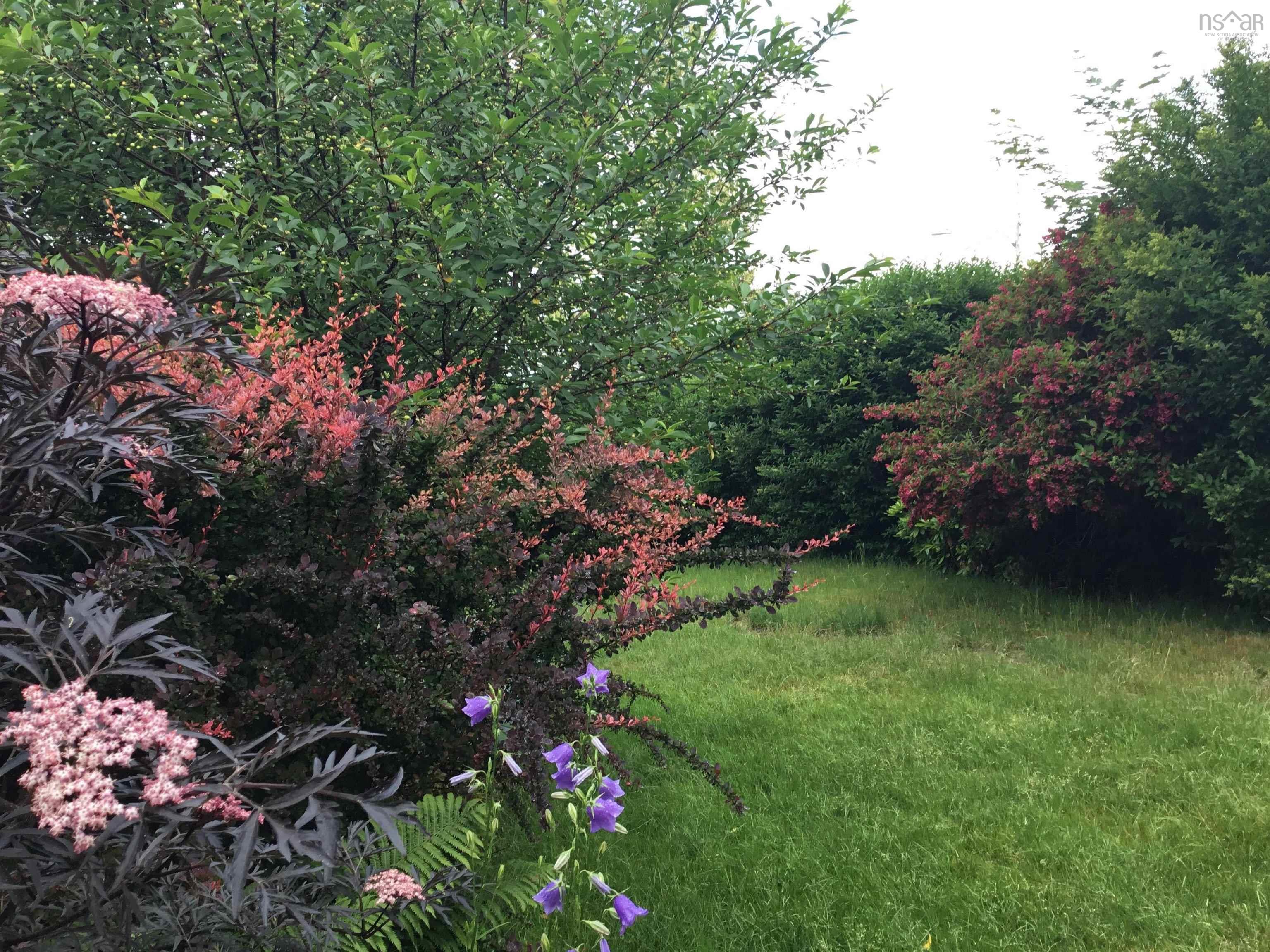 569 Francklyn Street, Halifax, NS (MLS 202603958)