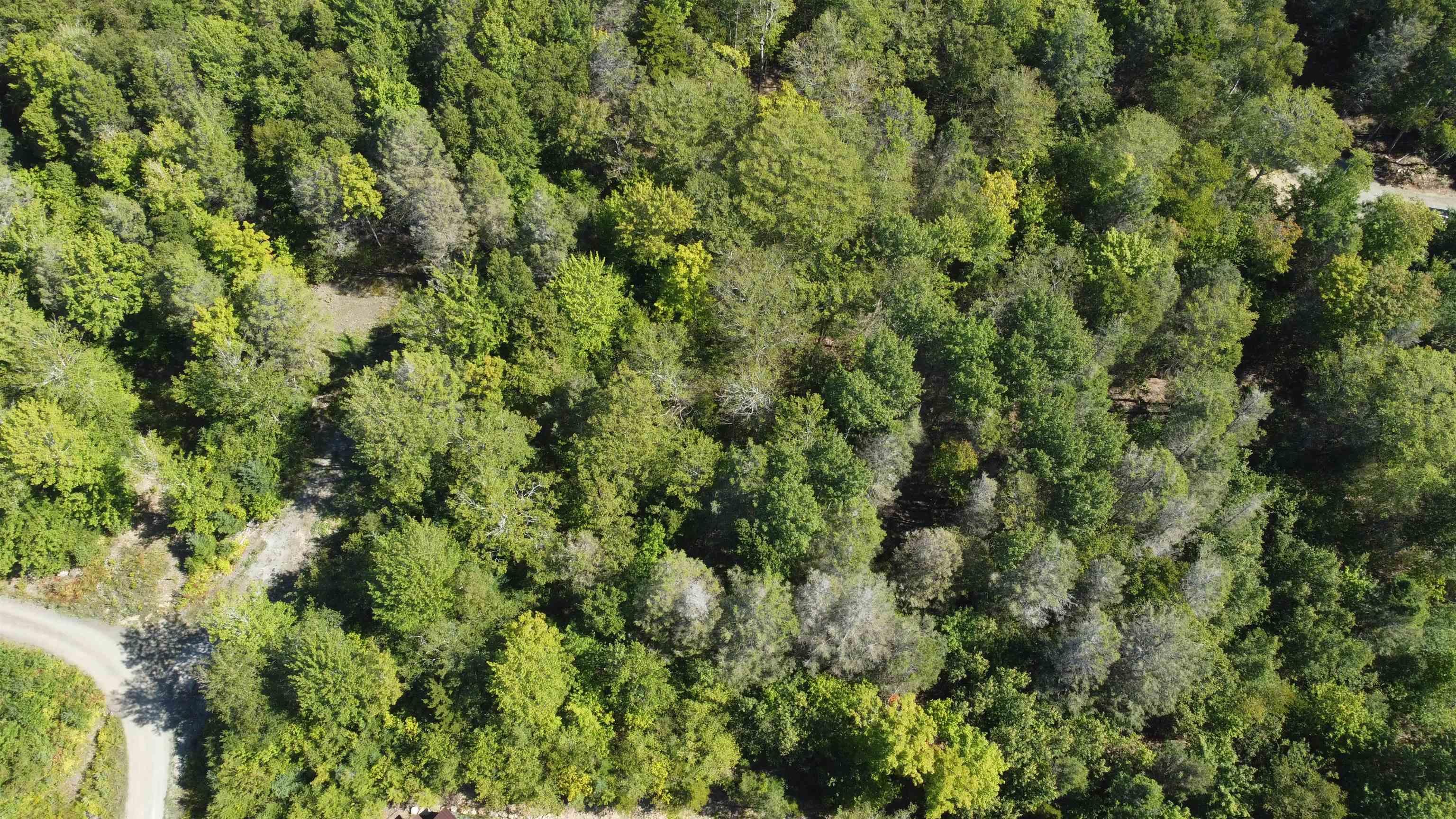 $30,000.00: Lot 5A Timberland Road, South Range