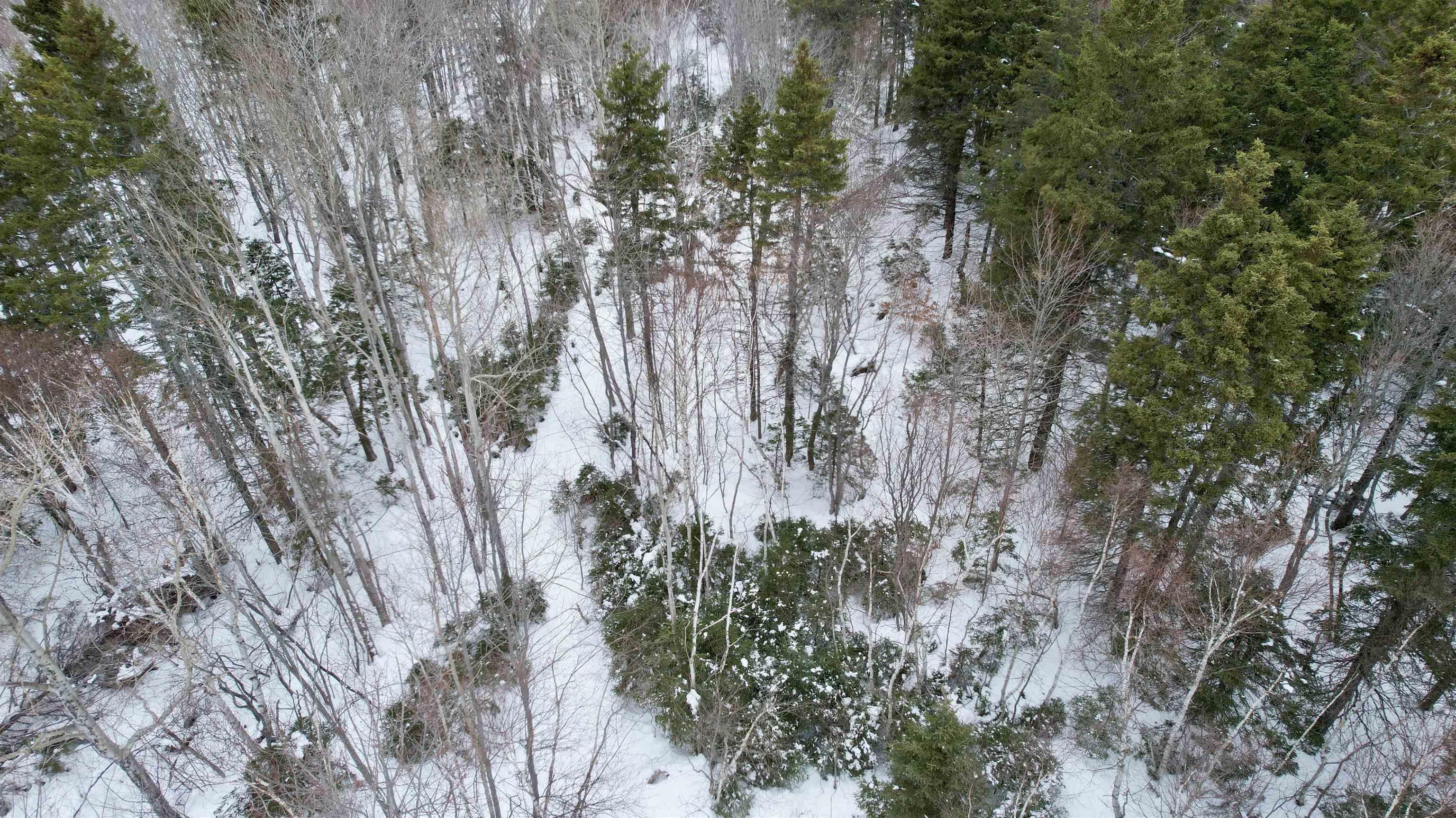 $299,000.00: 6221 Seaside Drive, Gardiner Mines