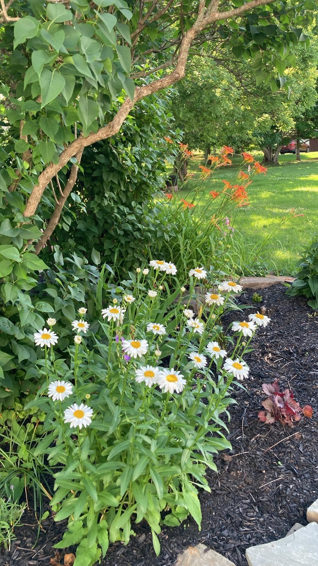 $449,000.00: 13836 Highway #6, Wallace