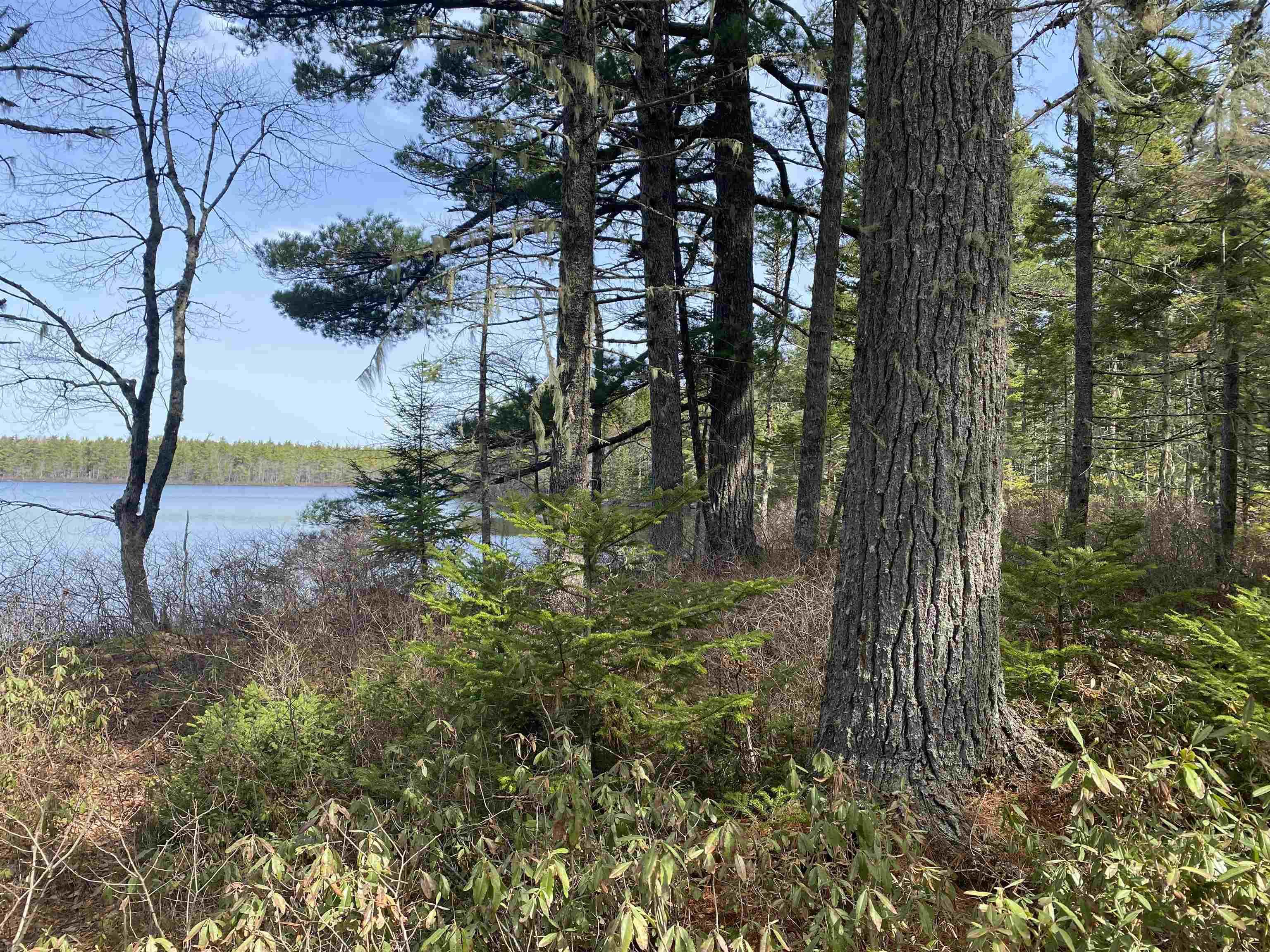 $249,900.00: Lot 16 Shingle Lake Road, New Elm