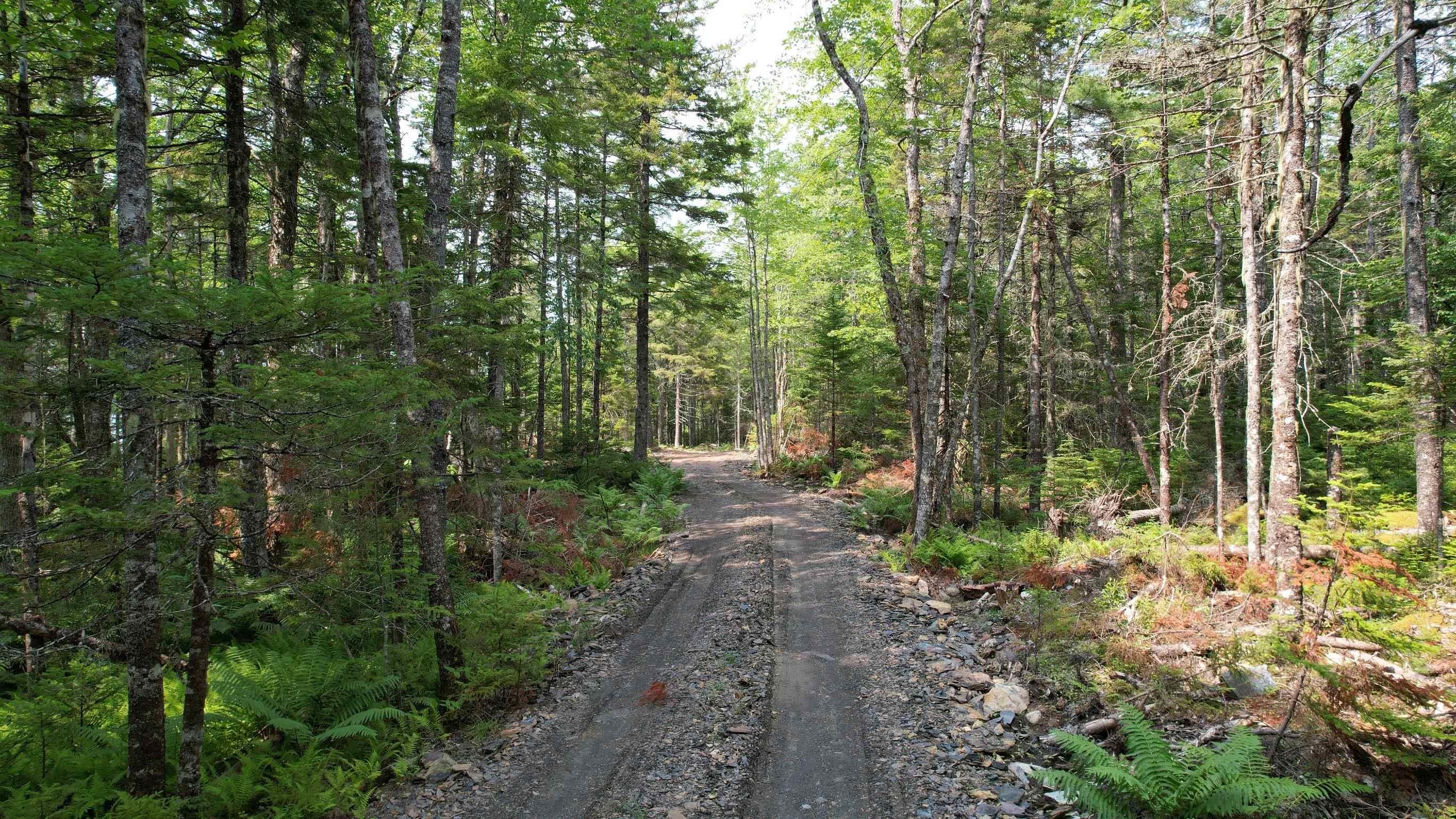 $249,900.00: Lot 16 Shingle Lake Road, New Elm