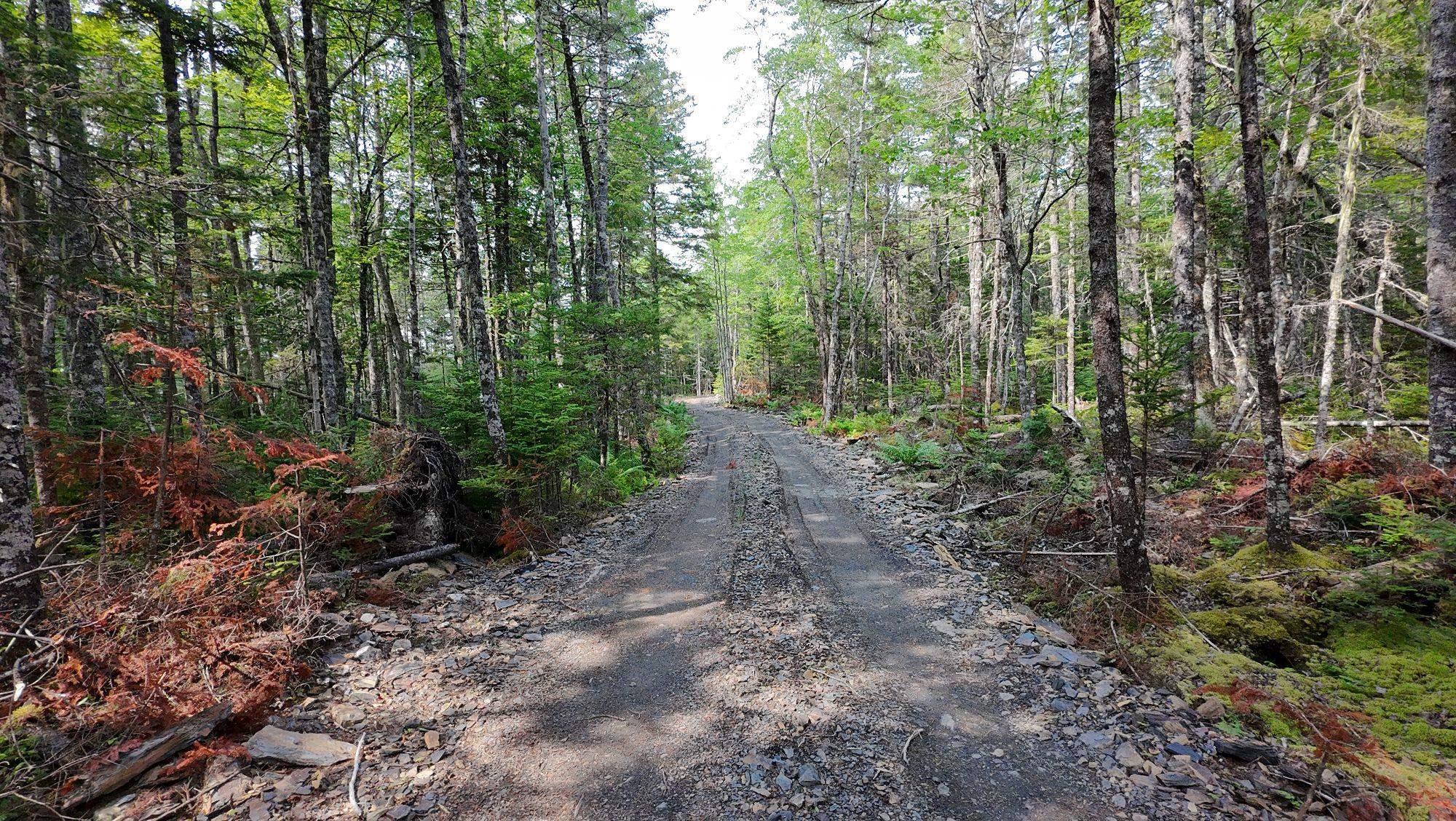 $249,900.00: Lot 16 Shingle Lake Road, New Elm