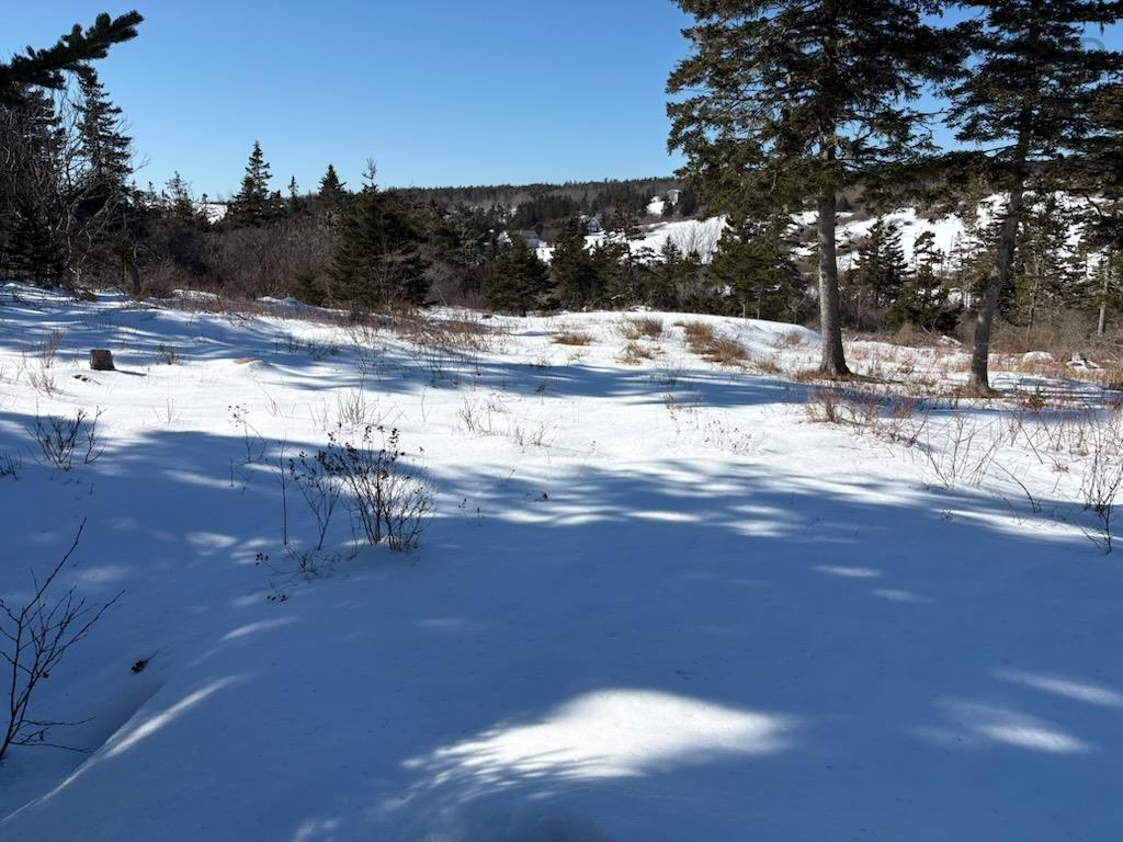 $435,000.00: Hirtles Beach Road, Kingsburg