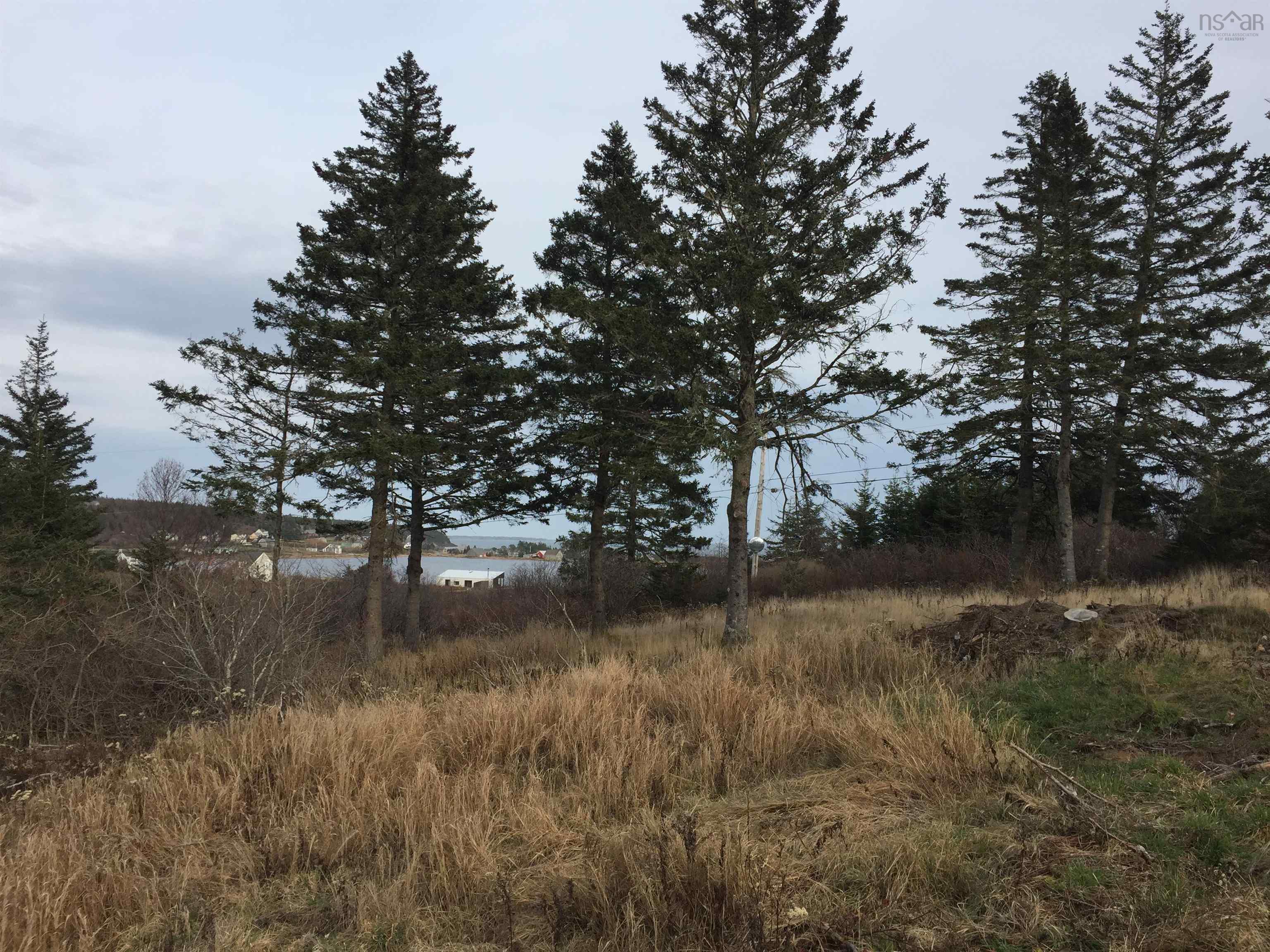 $435,000.00: Hirtles Beach Road, Kingsburg