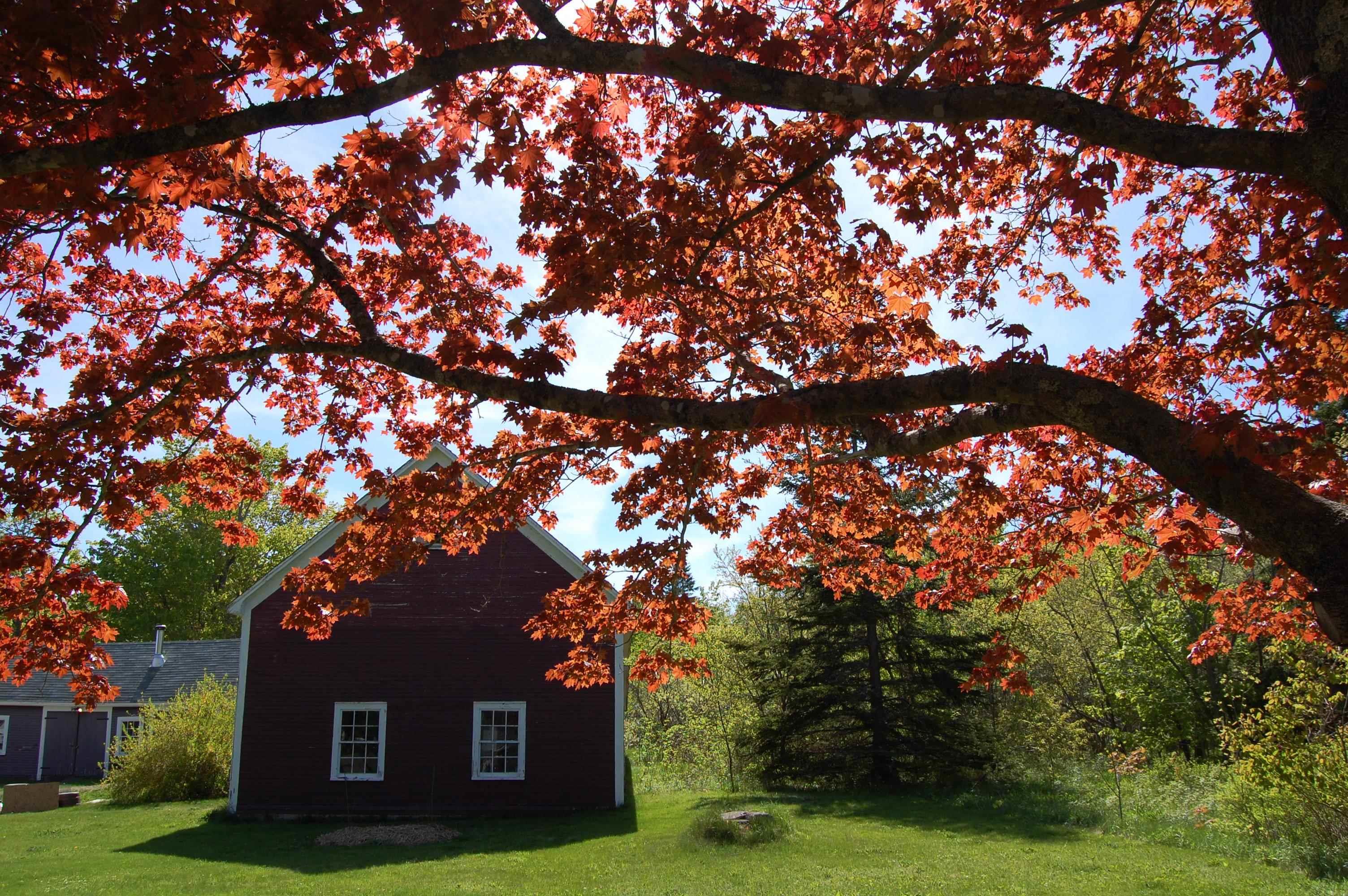 $524,900.00: 1665 Highway 362, Victoria Vale