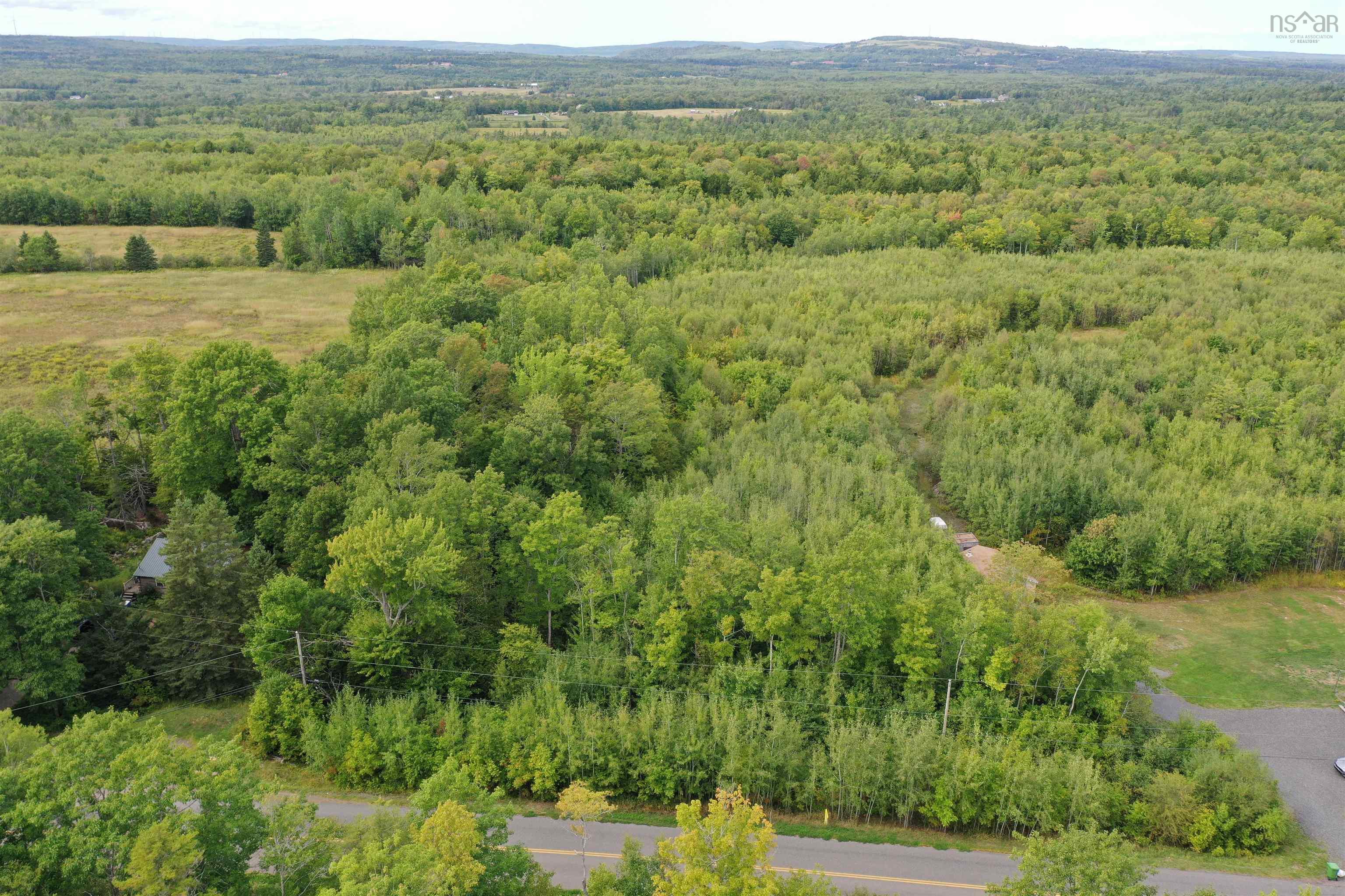 $54,900.00: 19 Acres+- Wallace Road, Hazel Glen