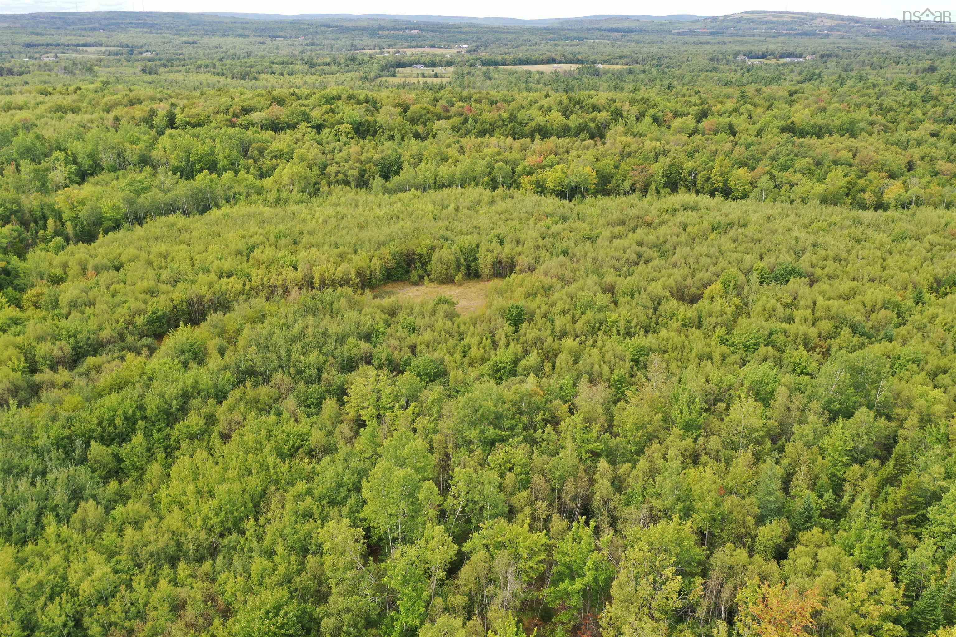 $54,900.00: 19 Acres+- Wallace Road, Hazel Glen