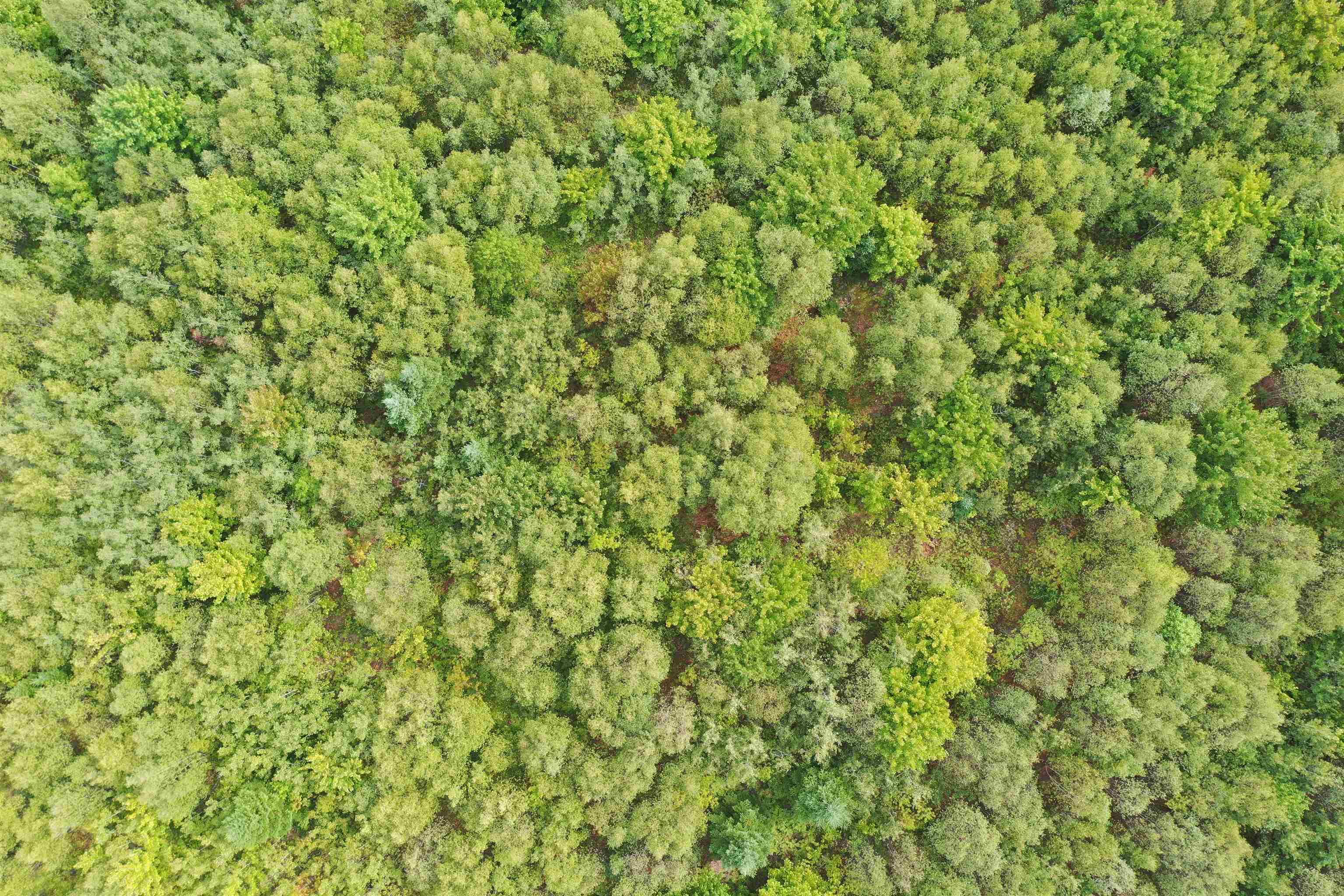 $54,900.00: 19 Acres+- Wallace Road, Hazel Glen