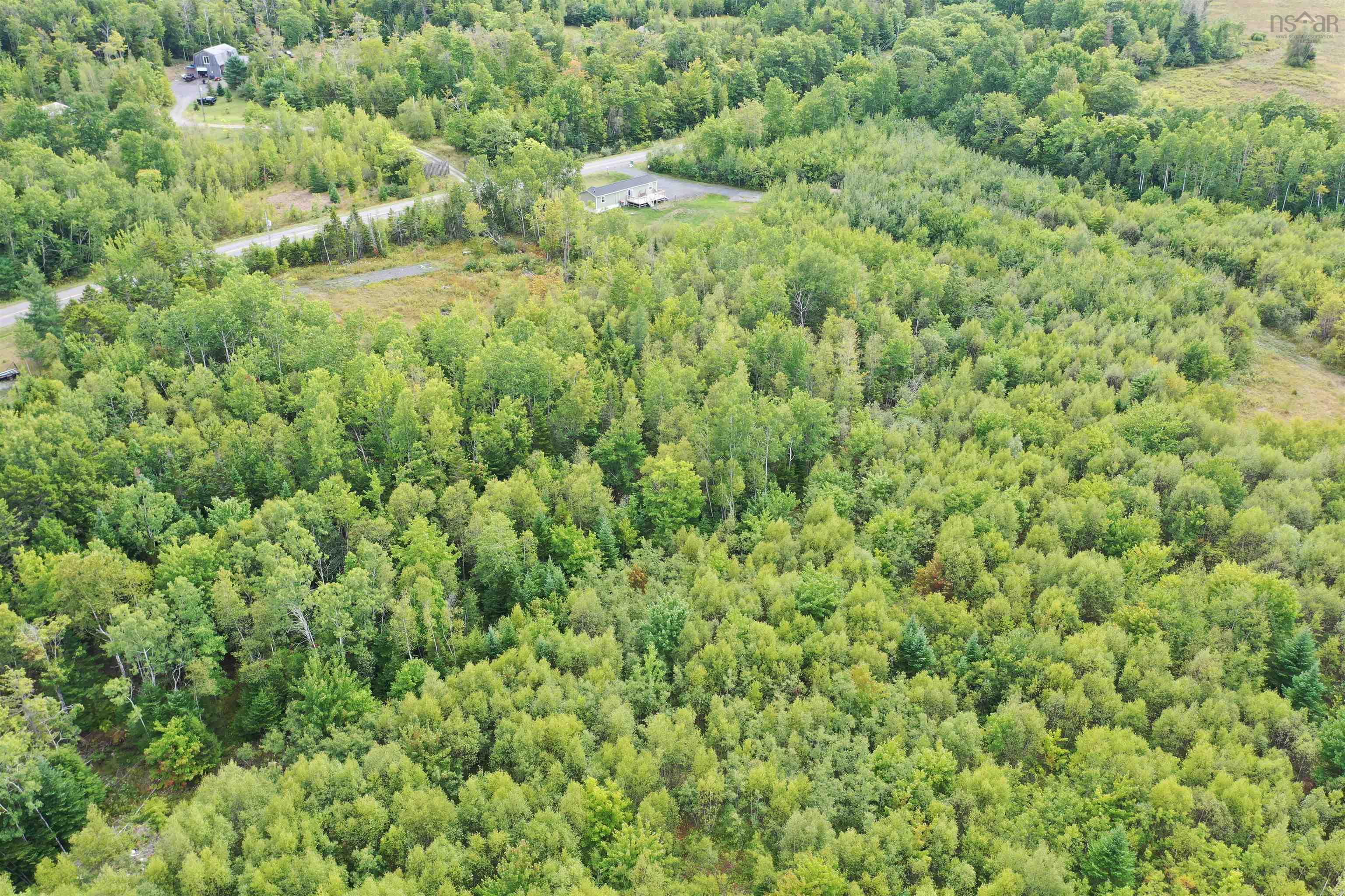 $54,900.00: 19 Acres+- Wallace Road, Hazel Glen