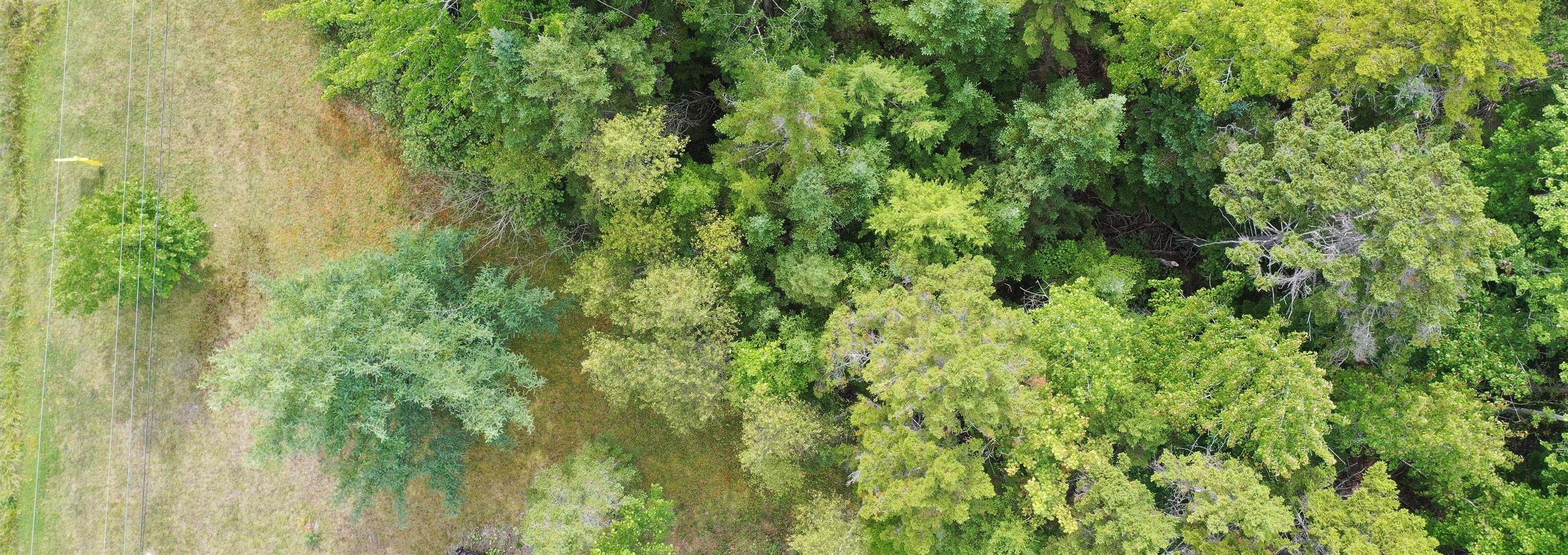 $54,900.00: 19 Acres+- Wallace Road, Hazel Glen