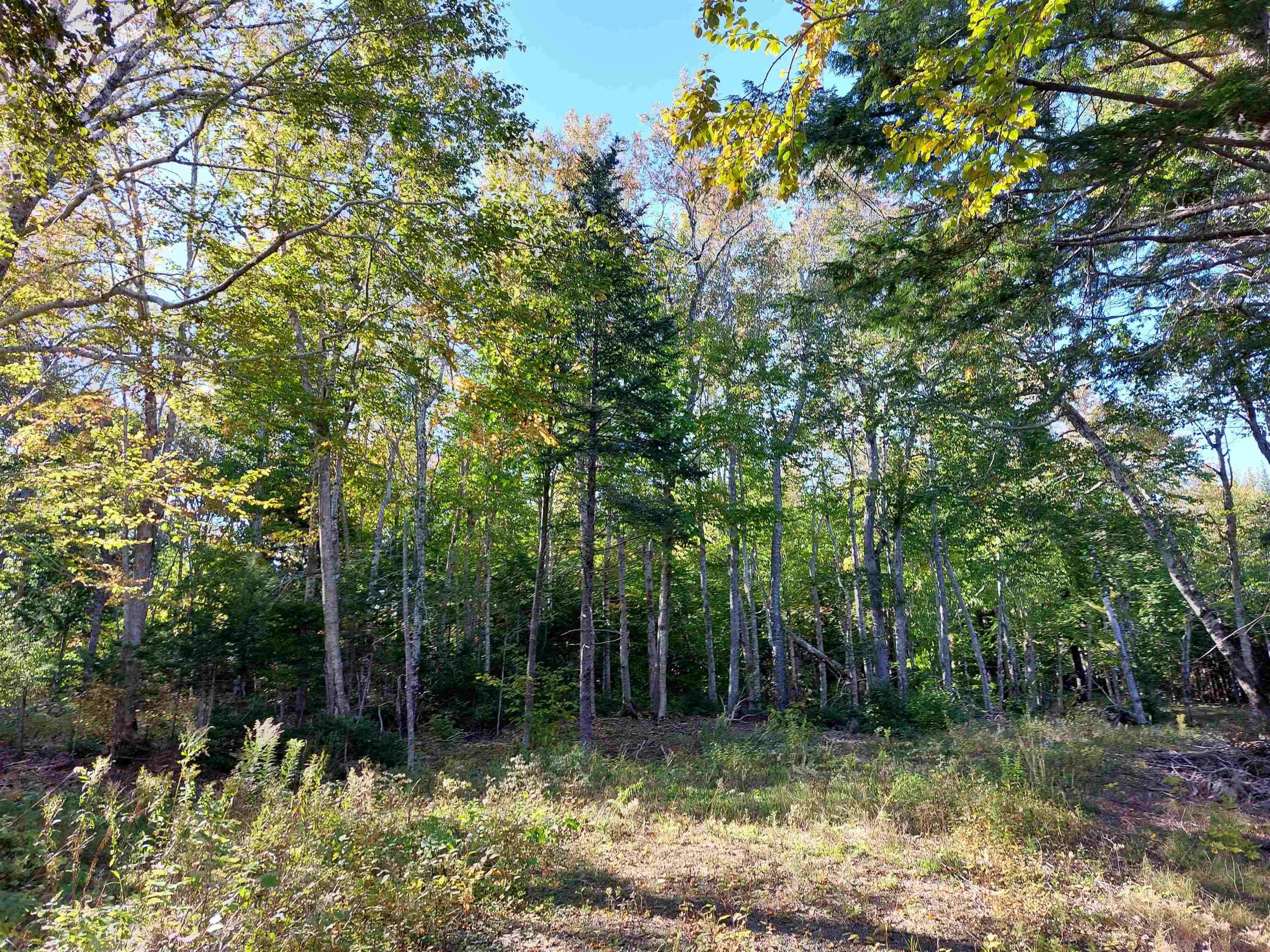 $137,500.00: Lot 50 Redbird Dr., Malagawatch