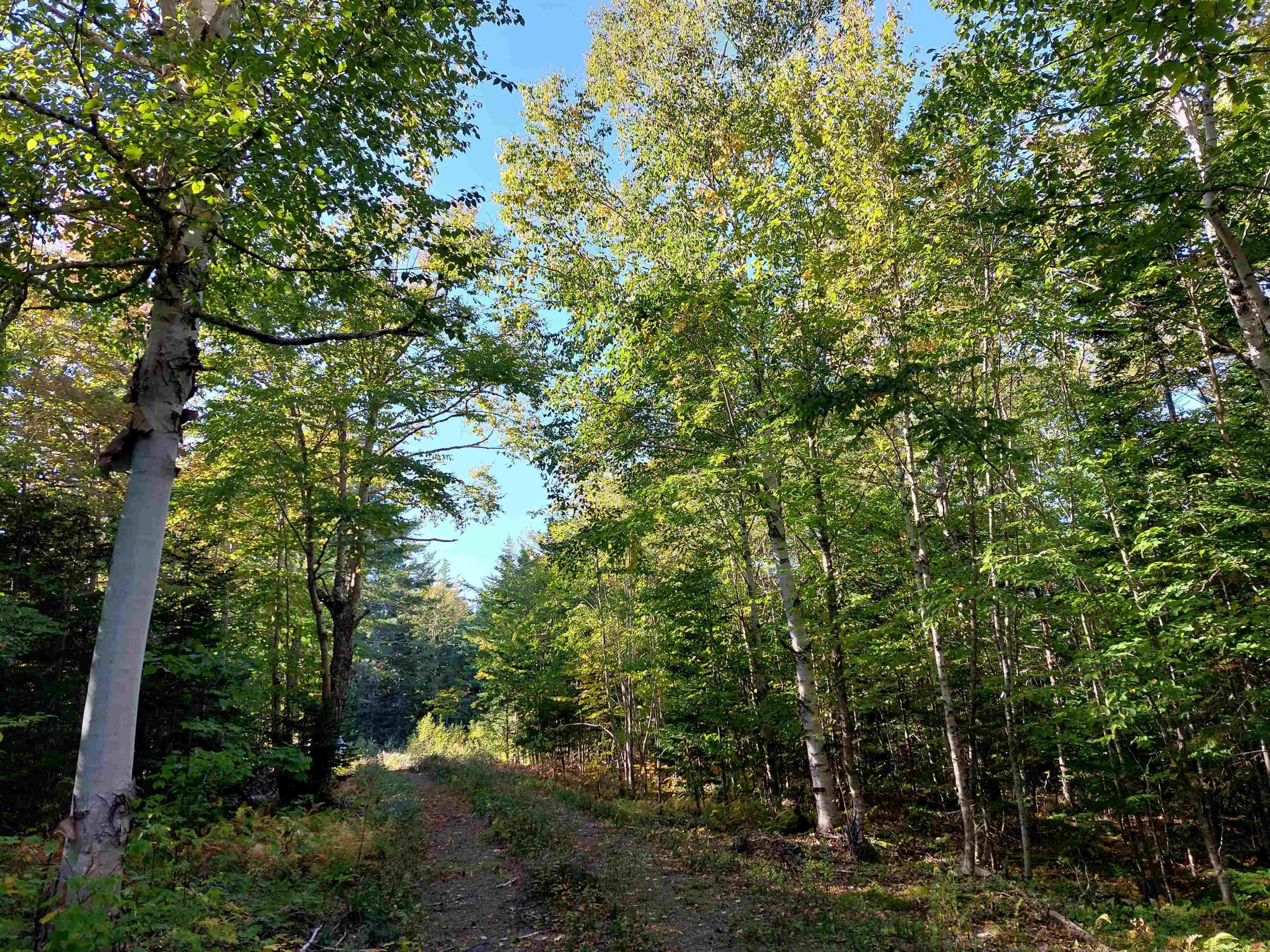 $137,500.00: Lot 50 Redbird Dr., Malagawatch