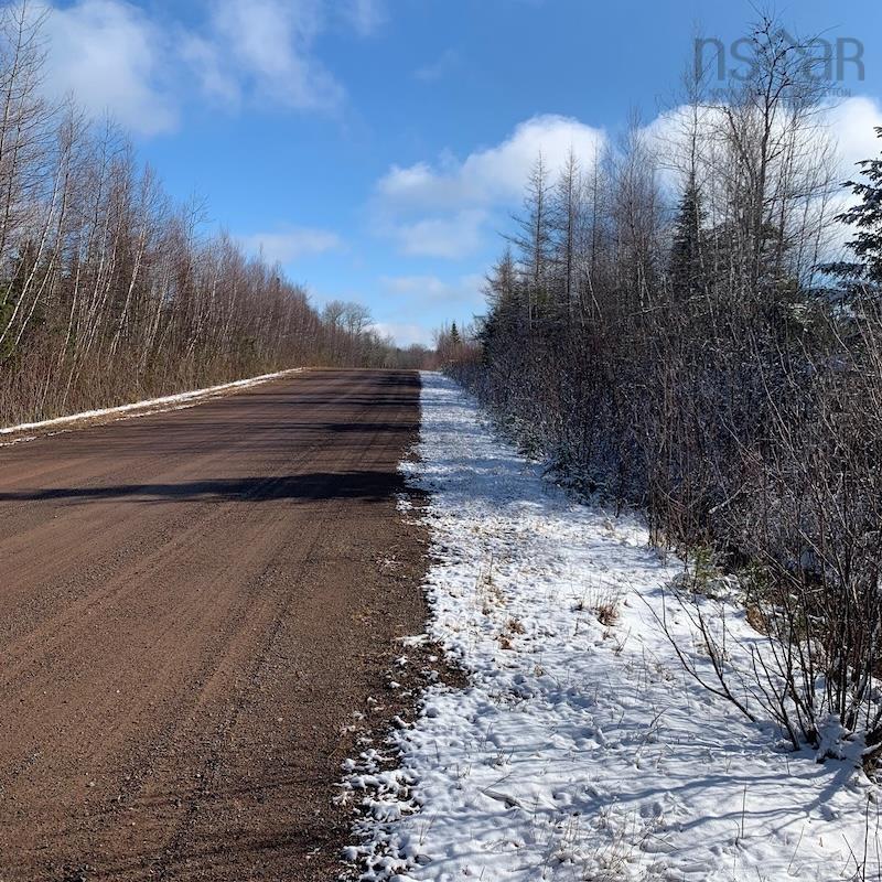 $35,000.00: Lot Palmer Road, Wentworth Valley