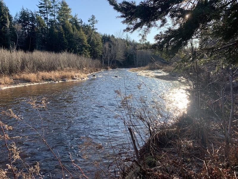 $35,000.00: Lot Palmer Road, Wentworth Valley